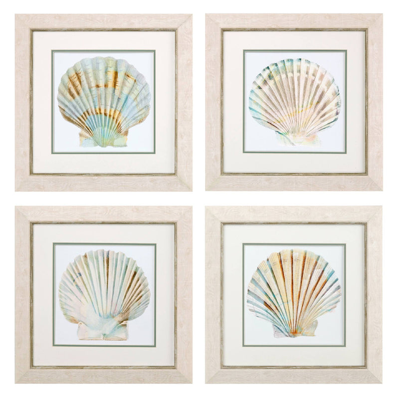 Sea Shell Framed Art Set of 4