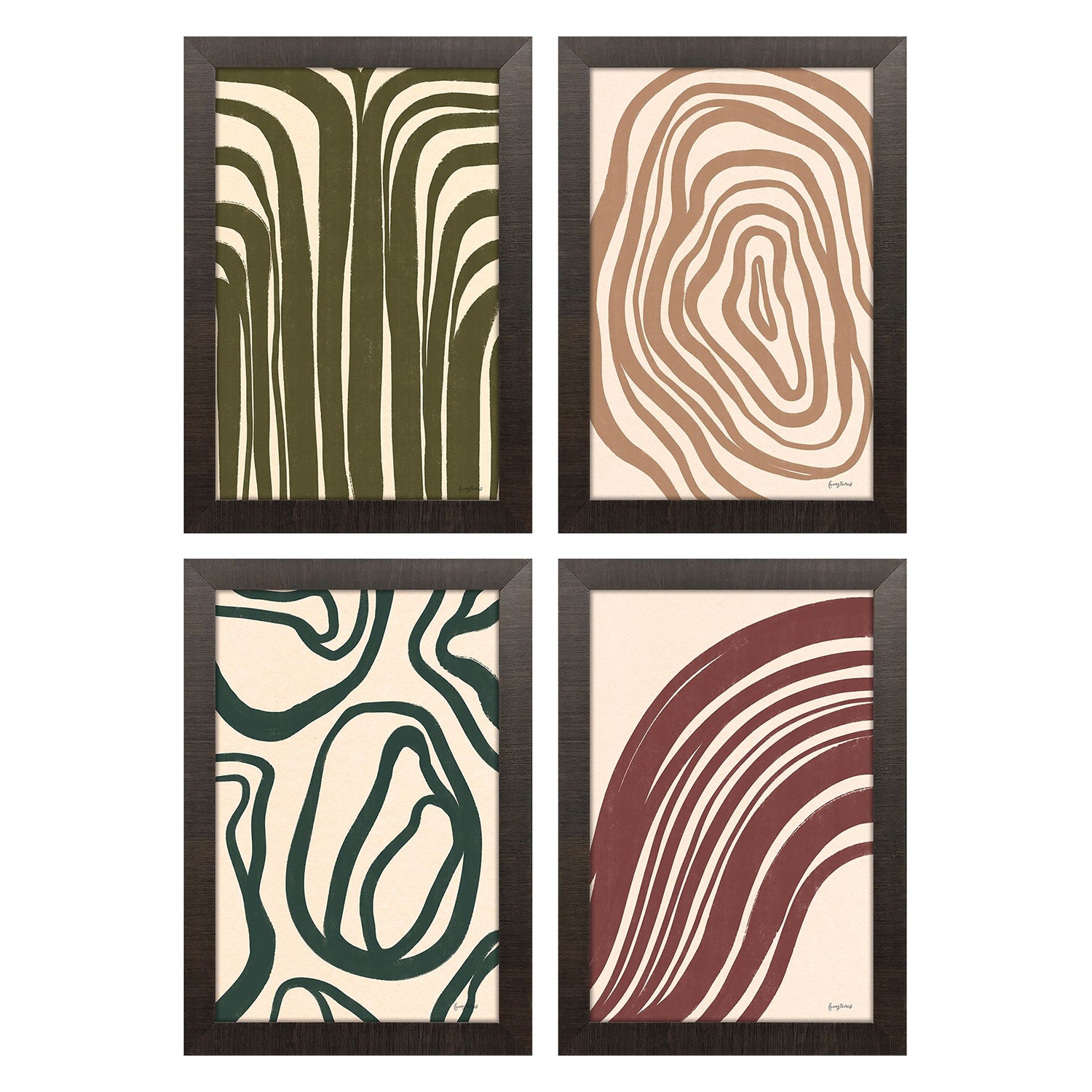 Thomas Organic Abstracts Framed Artwork Set of 4
