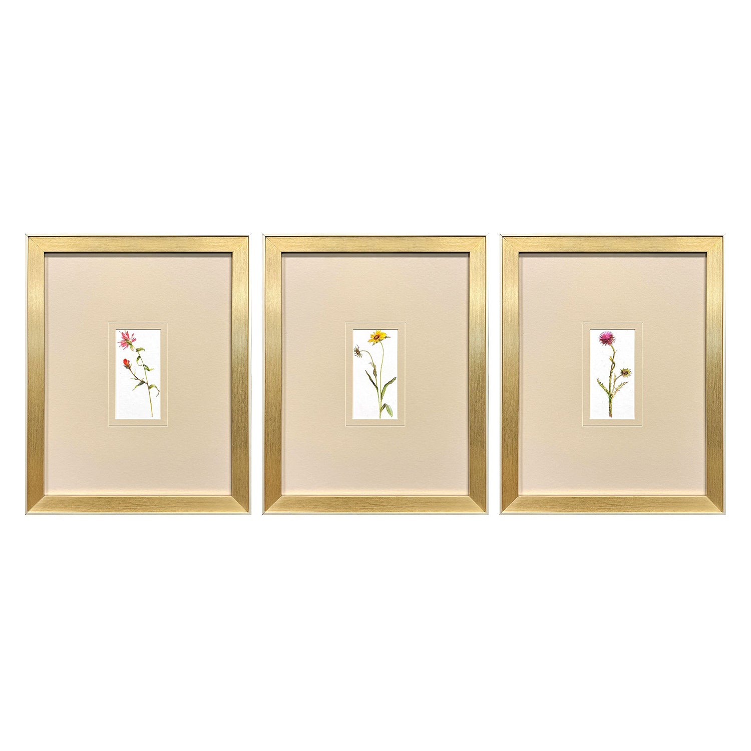 Keeling Pretty Florals I Framed Artwork Set of 3