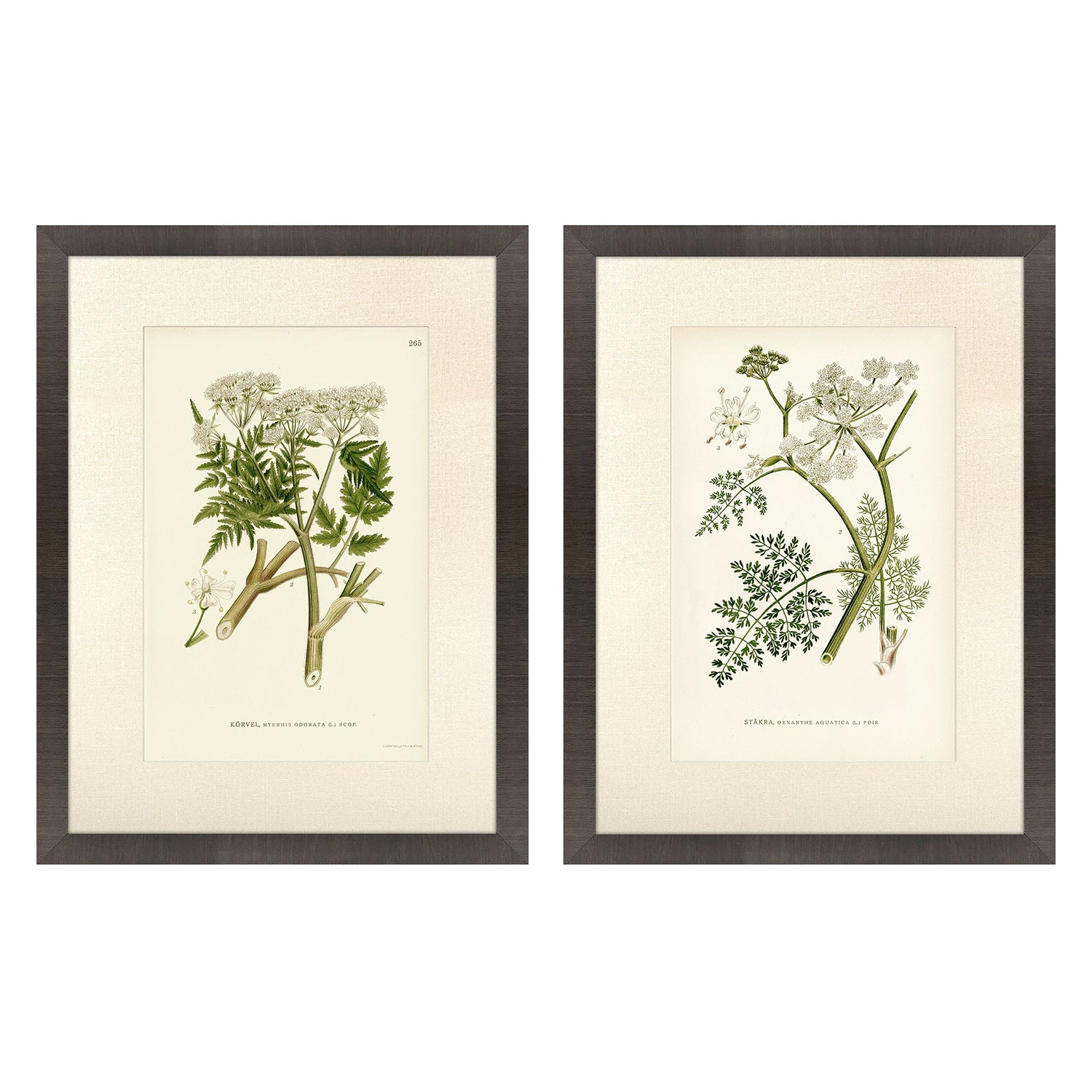 Higgins Queenss Lace I Framed Artwork Set of 2