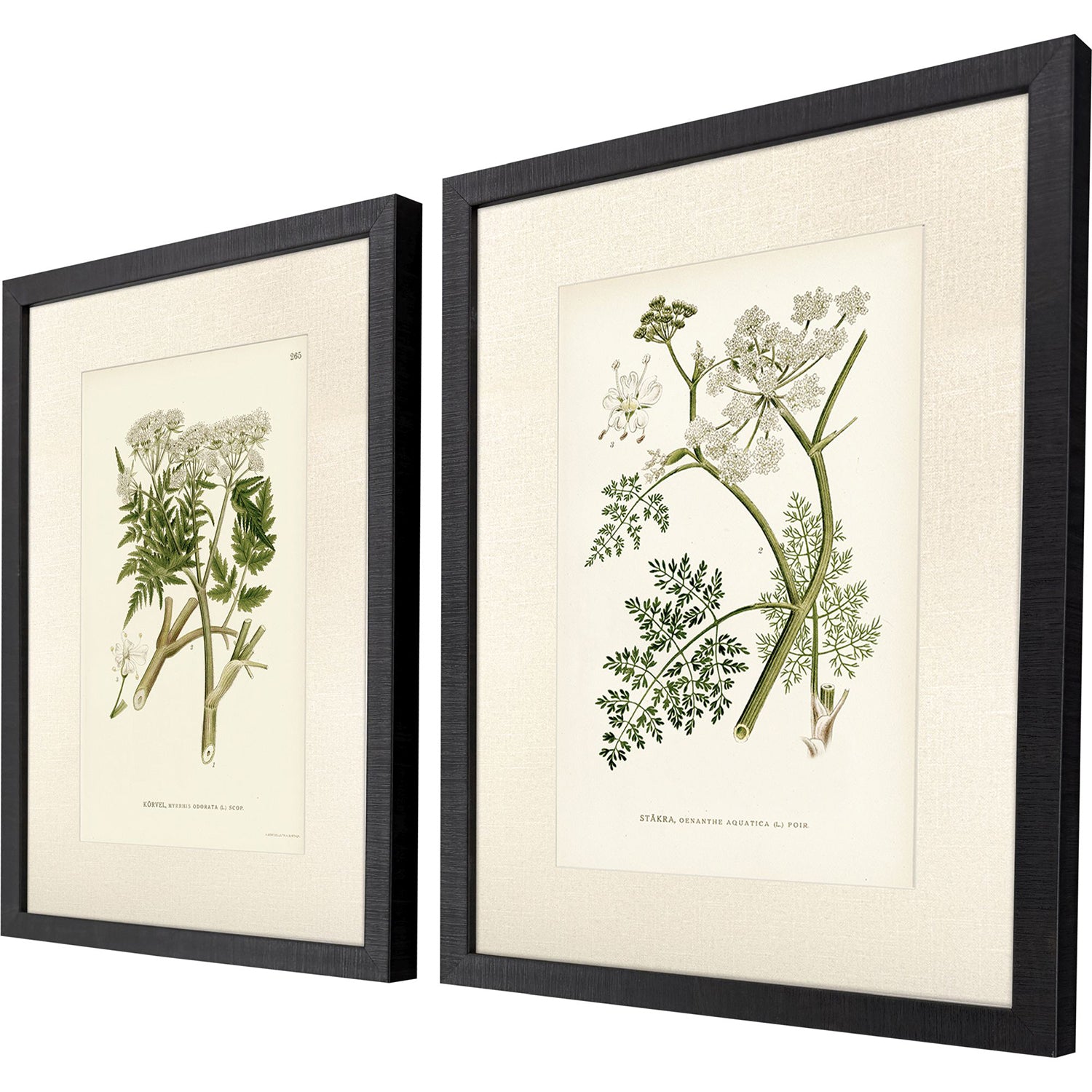 Higgins Queenss Lace I Framed Artwork Set of 2