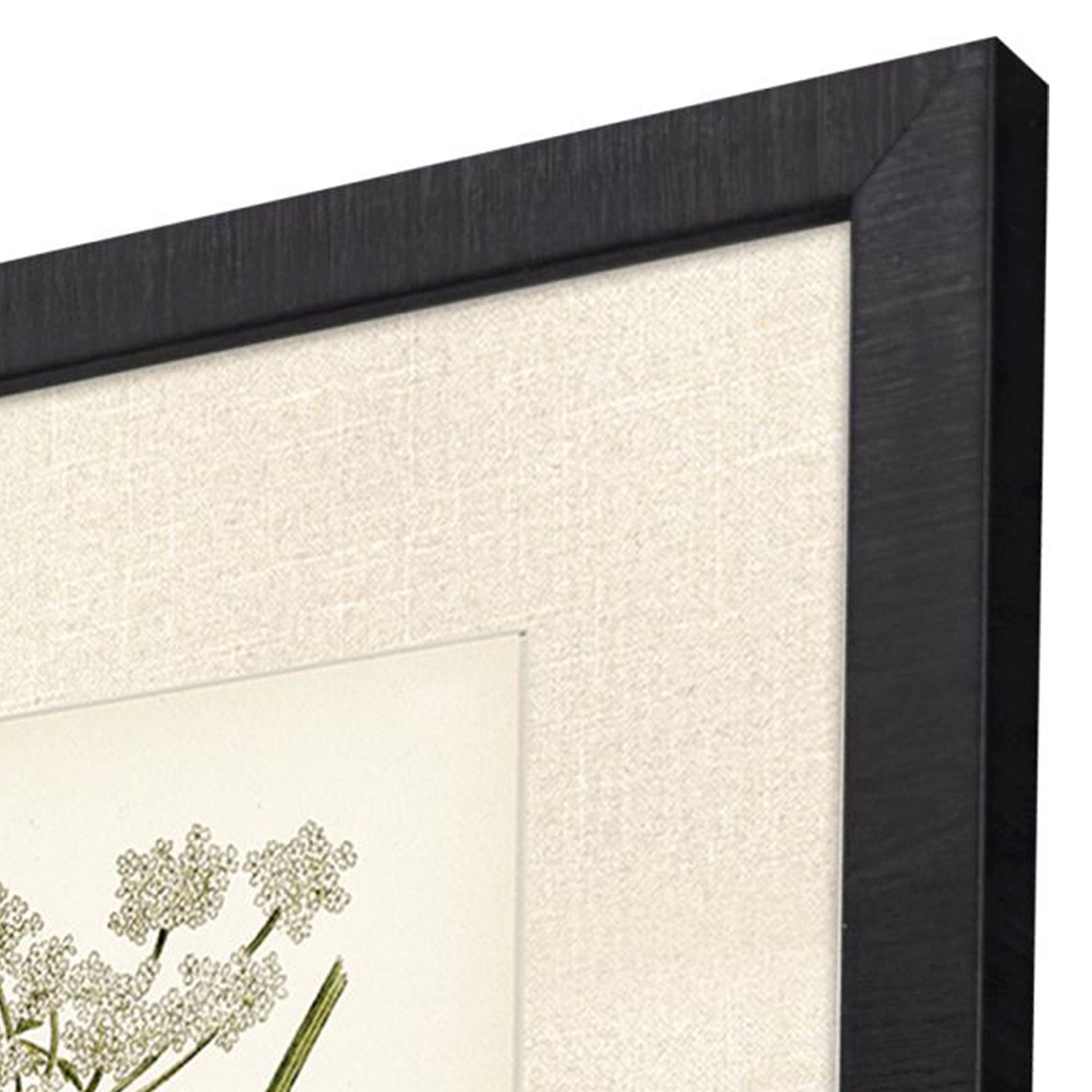 Higgins Queenss Lace I Framed Artwork Set of 2