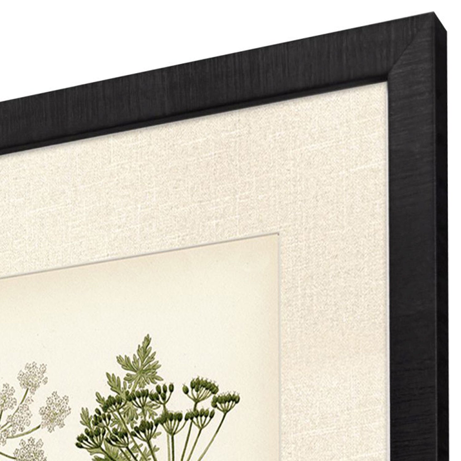Higgins Queenss Lace II Framed Artwork Set of 2