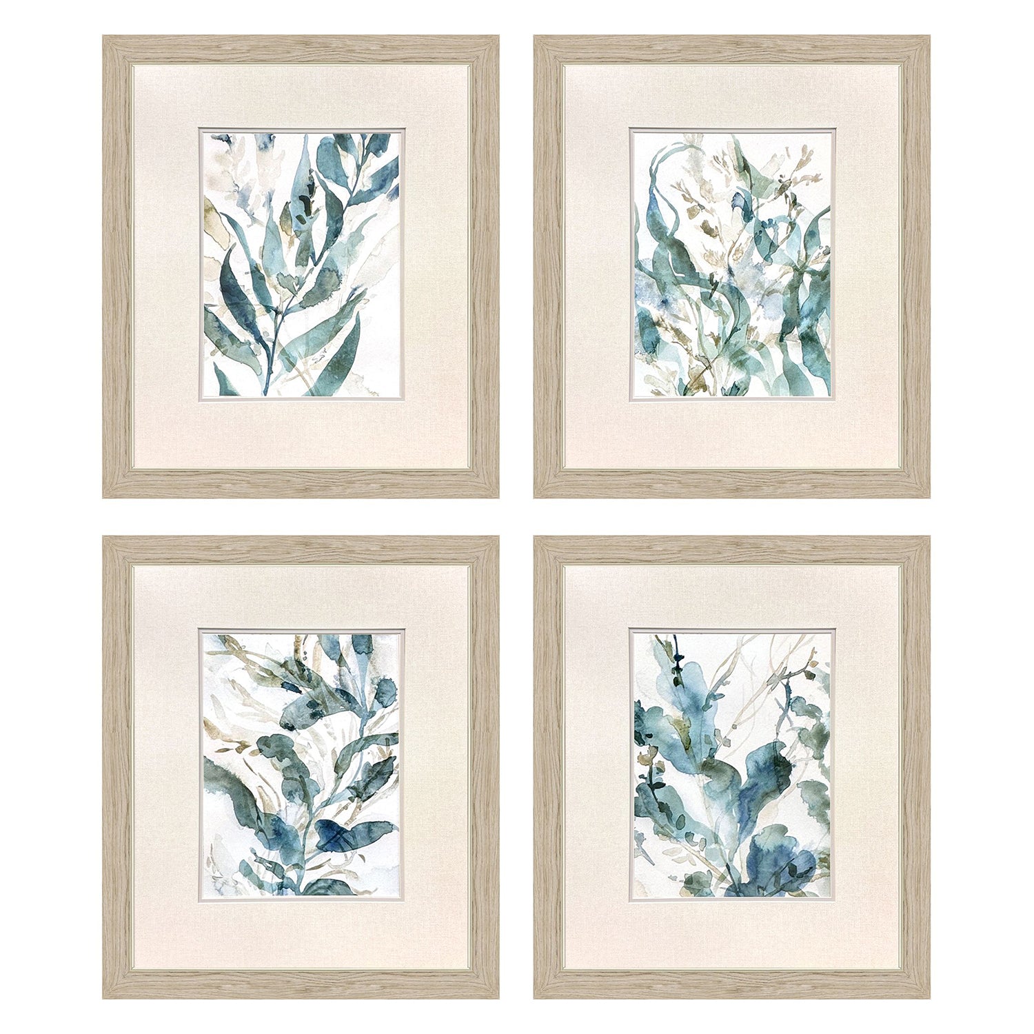 Barnes Underwater Botany Framed Artwork Set of 4