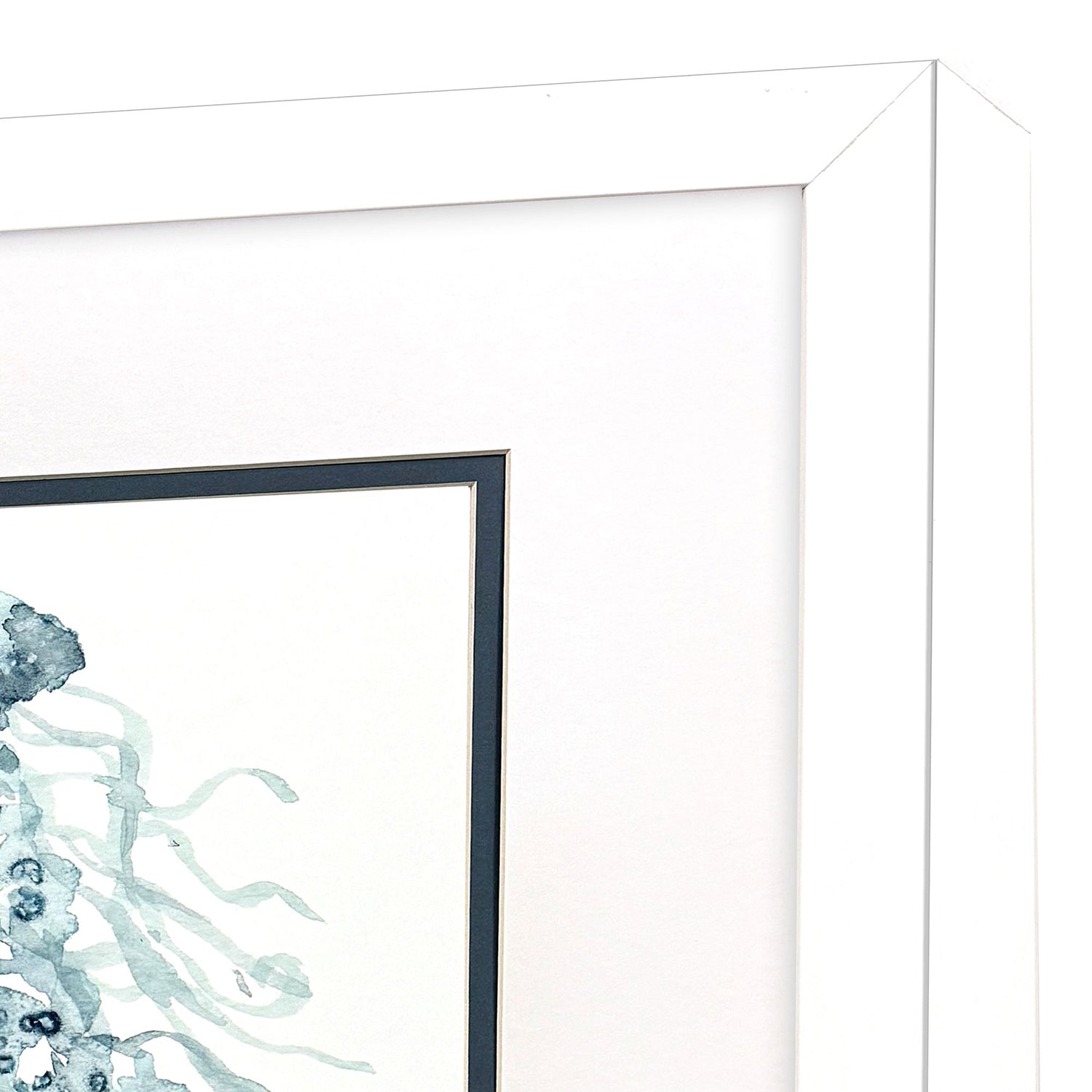 Bishop Water Sea Creatures Framed Artwork Set of 4