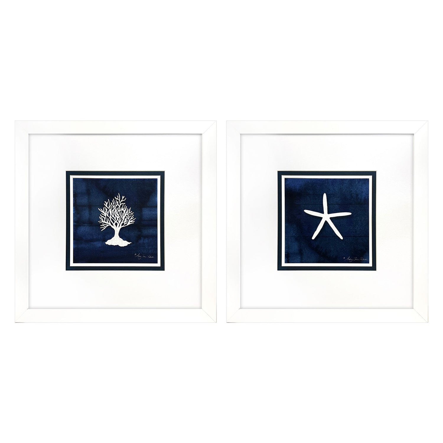 Roberts Coral Starfish Framed Artwork Set of 2
