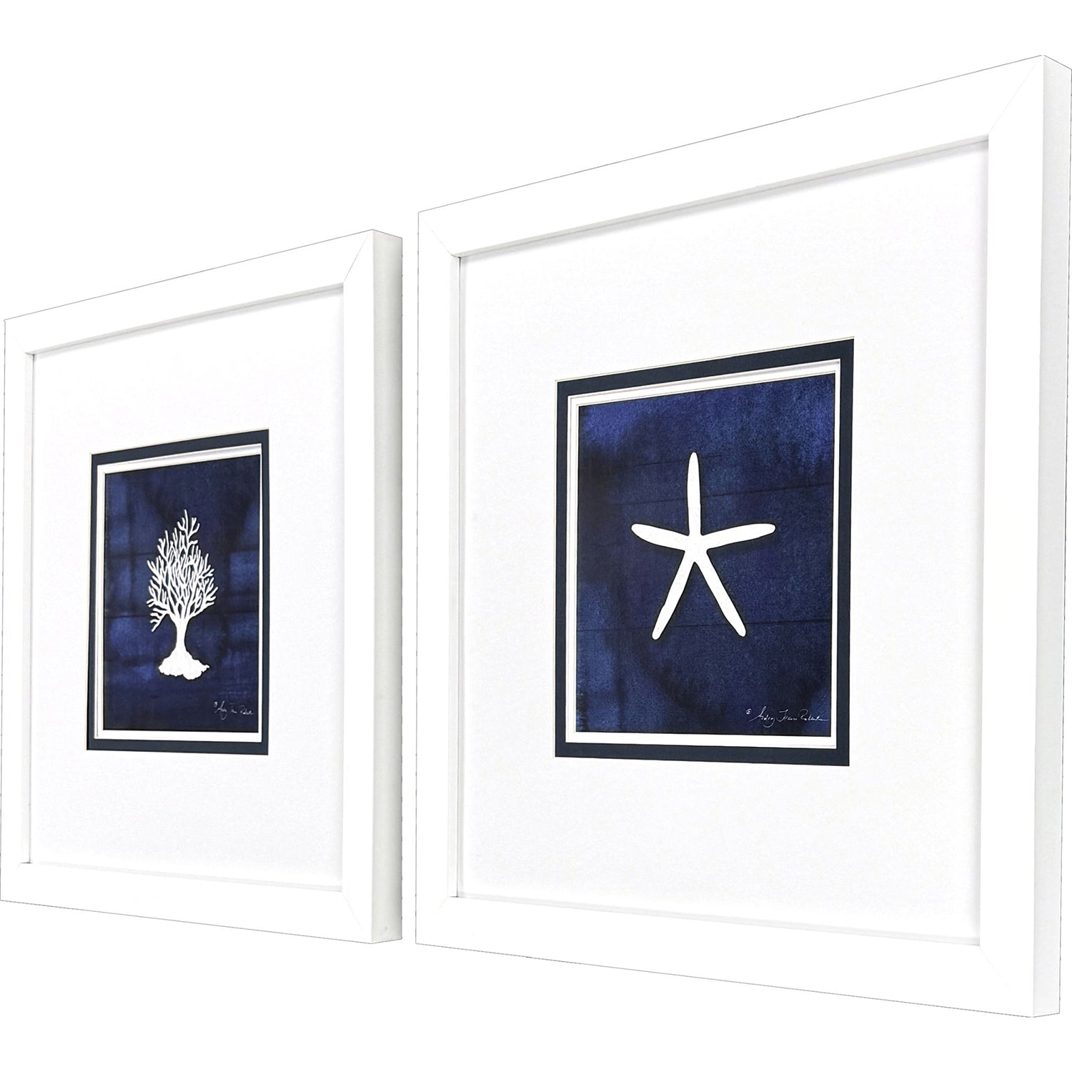 Roberts Coral Starfish Framed Artwork Set of 2