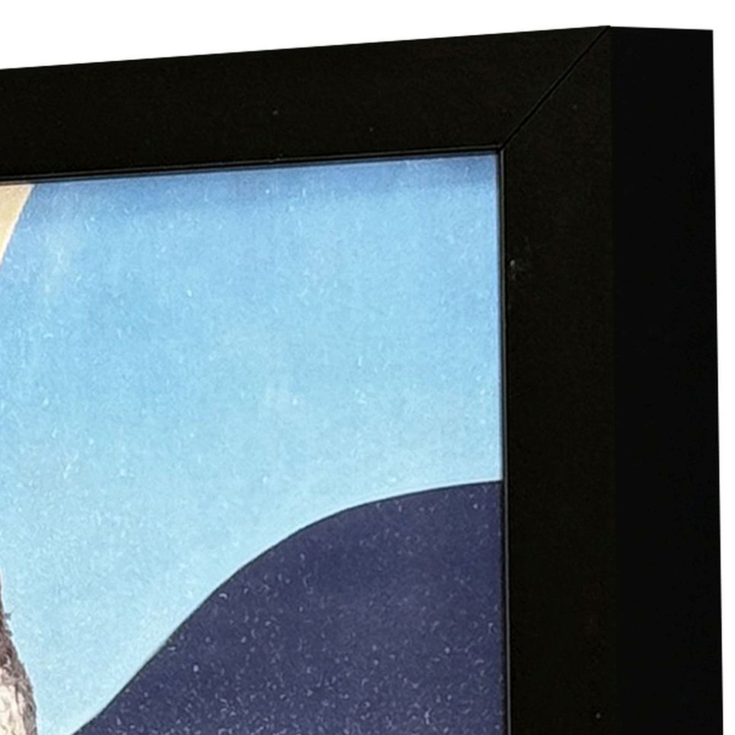 Heffernan The Perfect Pair Framed Artwork