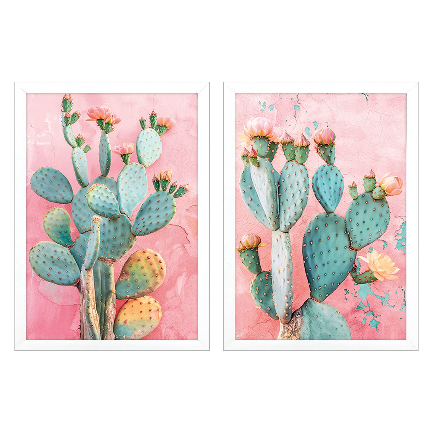 Hugonnard Blush Botanicals I Framed Artwork Set of 2