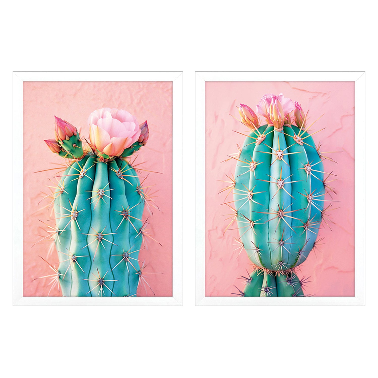 Hugonnard Blush Botanicals II Framed Artwork Set of 2