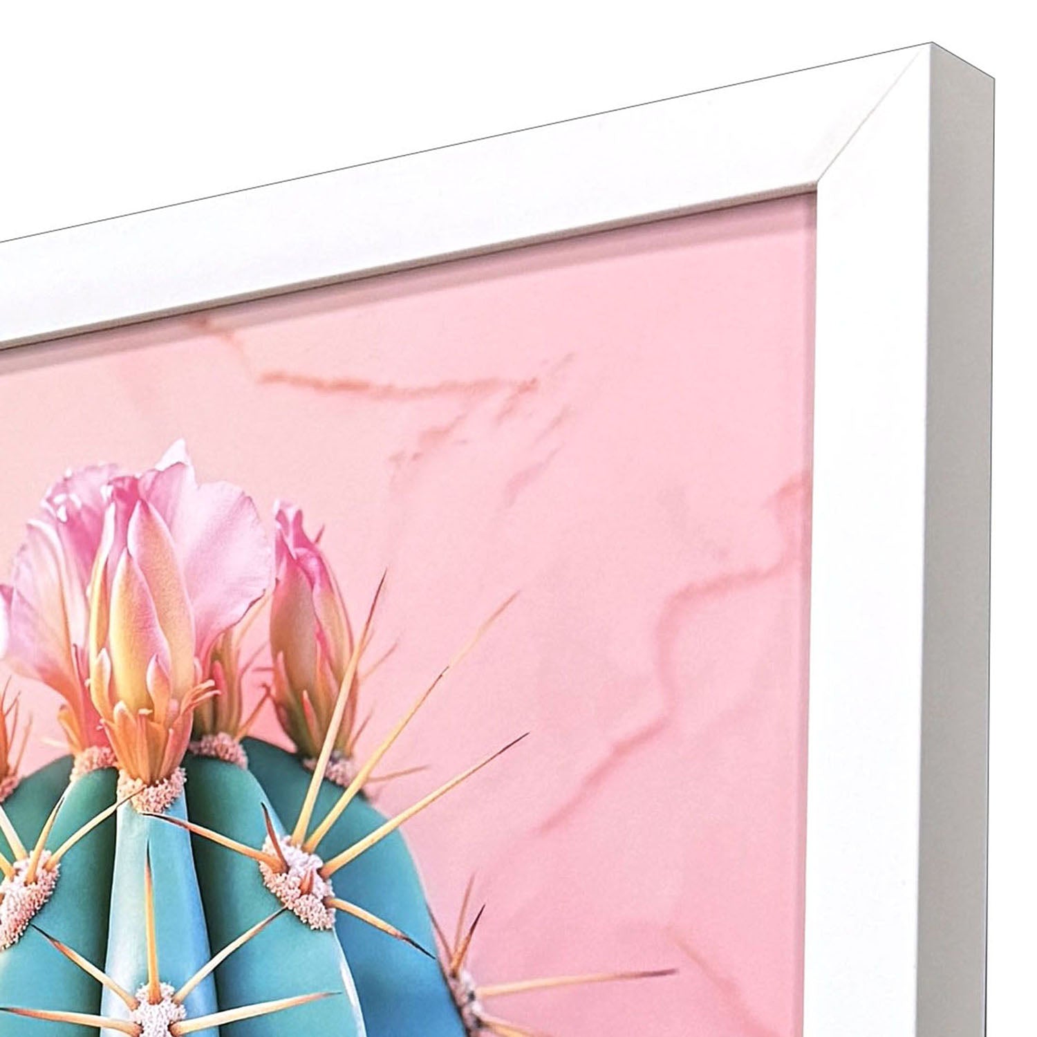 Hugonnard Blush Botanicals II Framed Artwork Set of 2