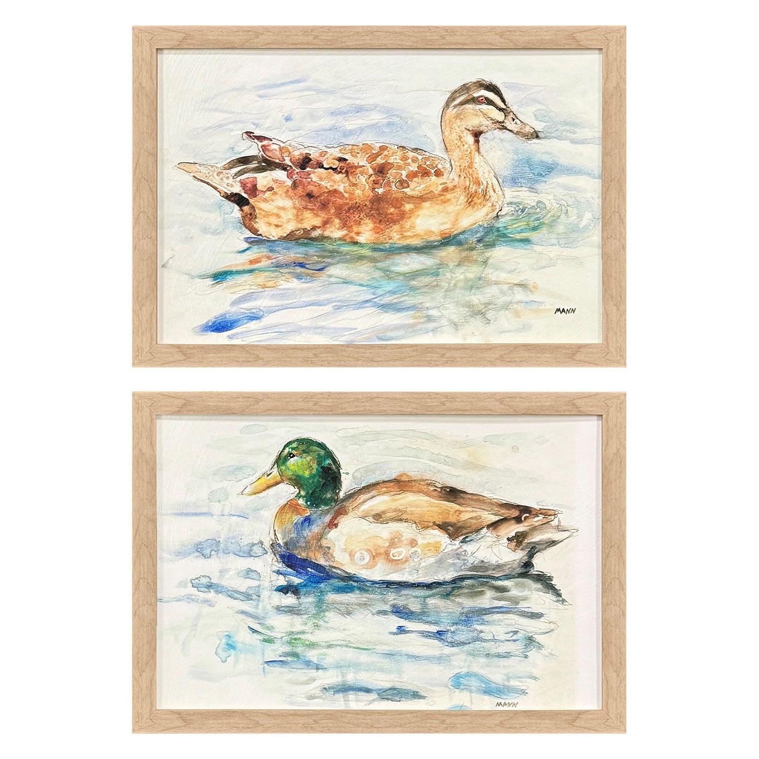 Mann Water Ducks Framed Artwork Set of 2