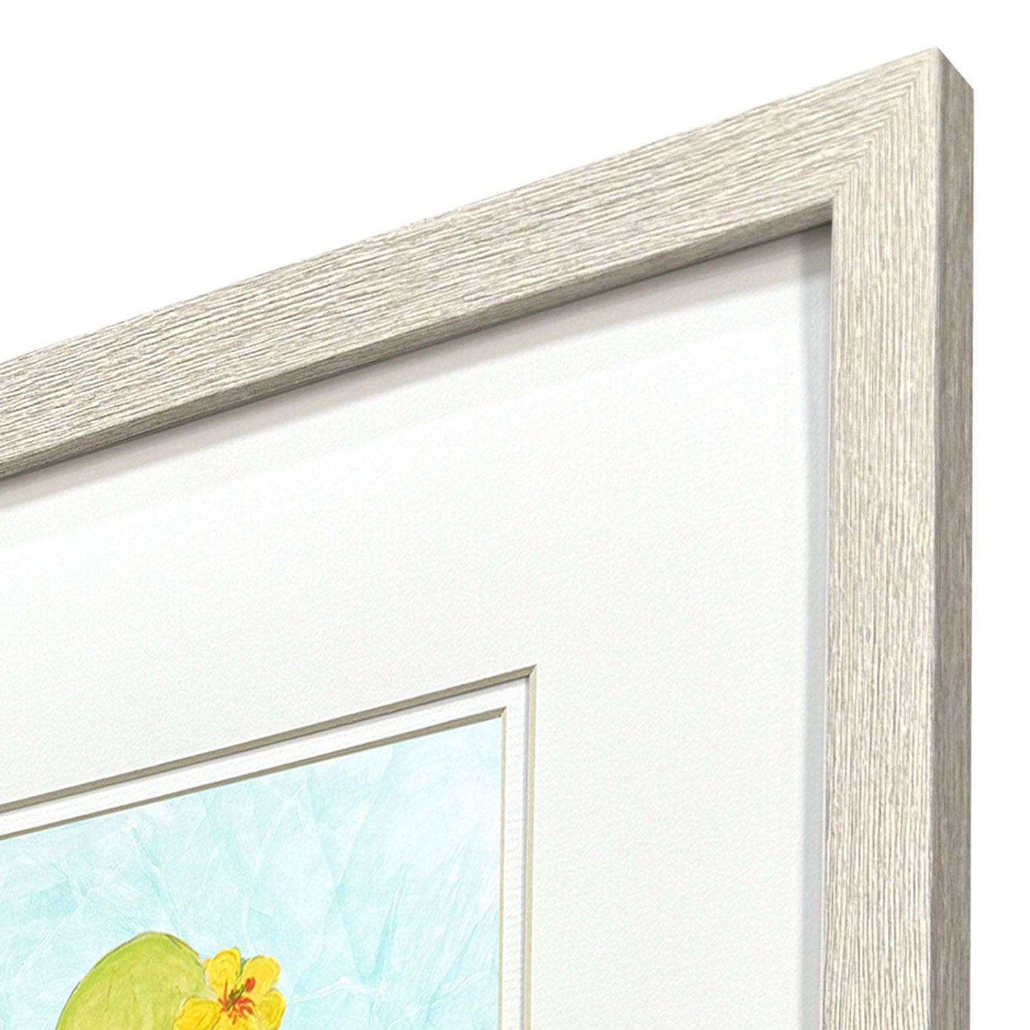 Clayton Baby Octopus Framed Artwork Set of 4
