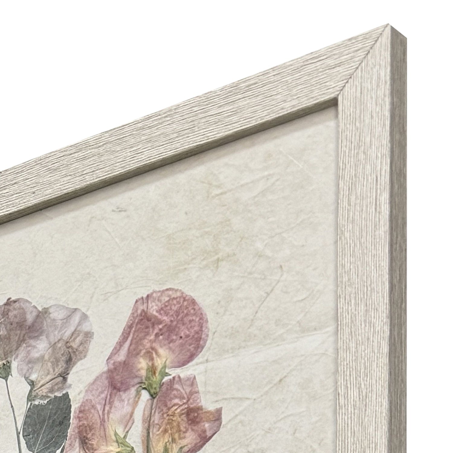 Robinson Pressed Arrangement Framed Artwork Set of 4