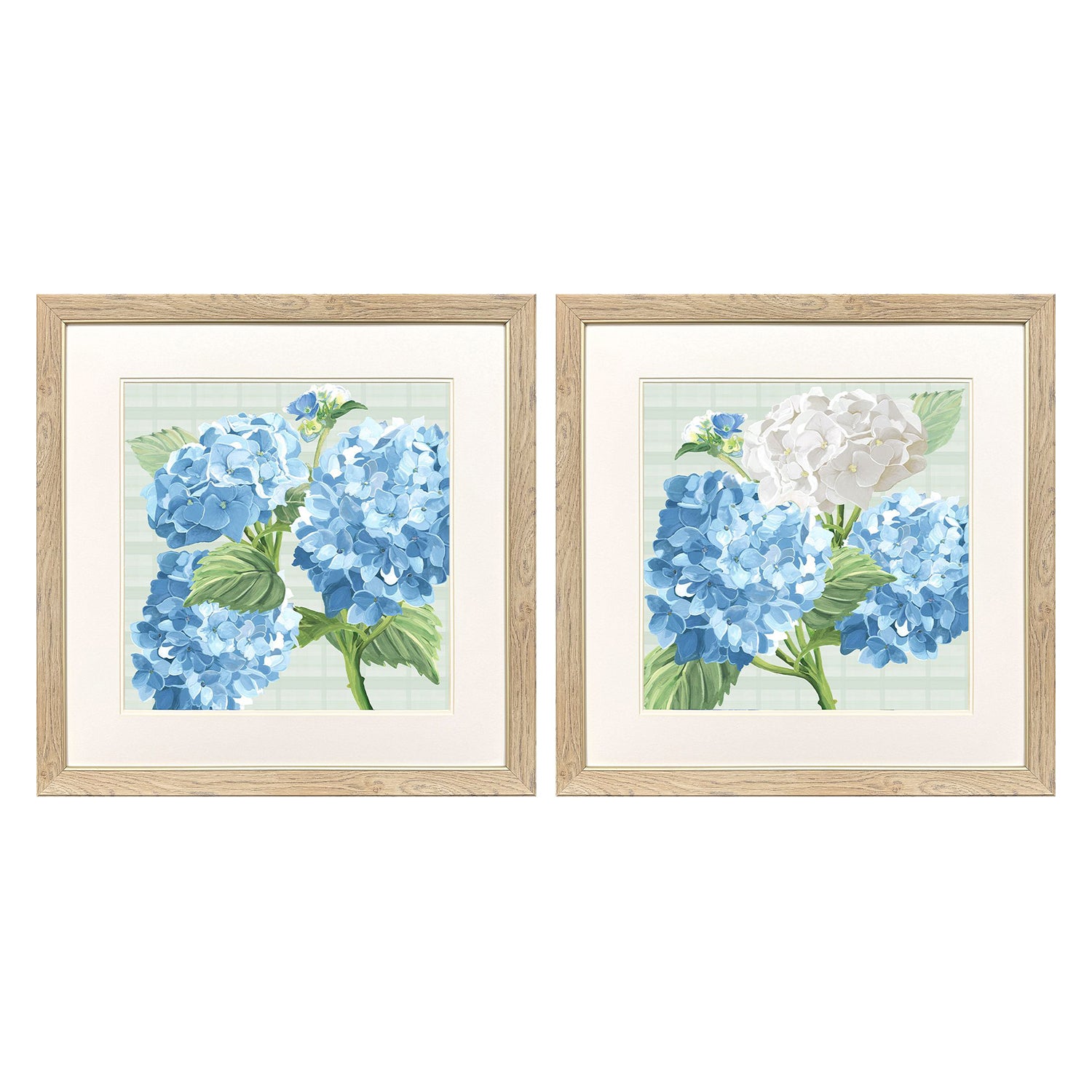 Christopher Hydrangeas on Plaid Framed Atrwork Set of 2