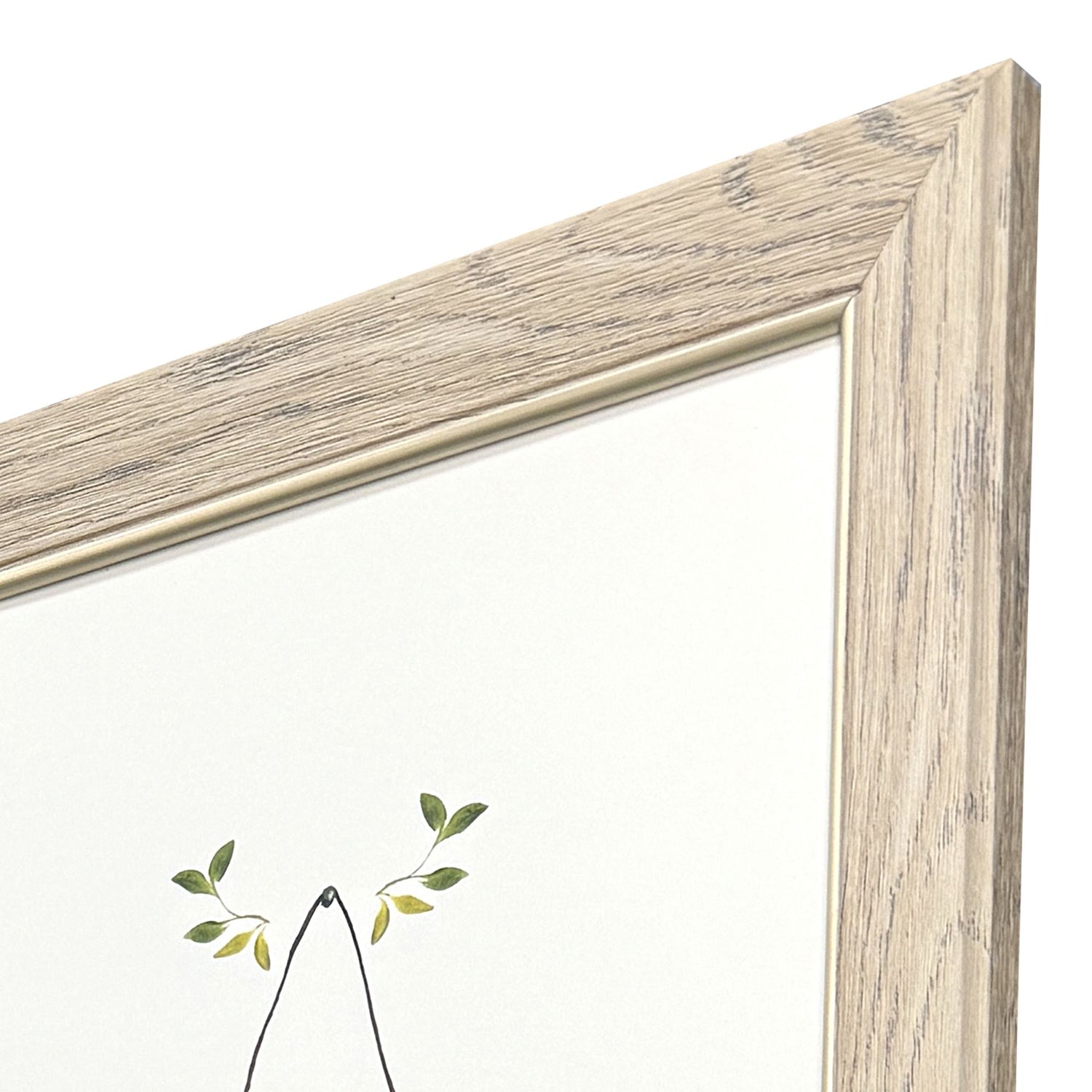 St Amant Summer Garden Framed Artwork Set of 2