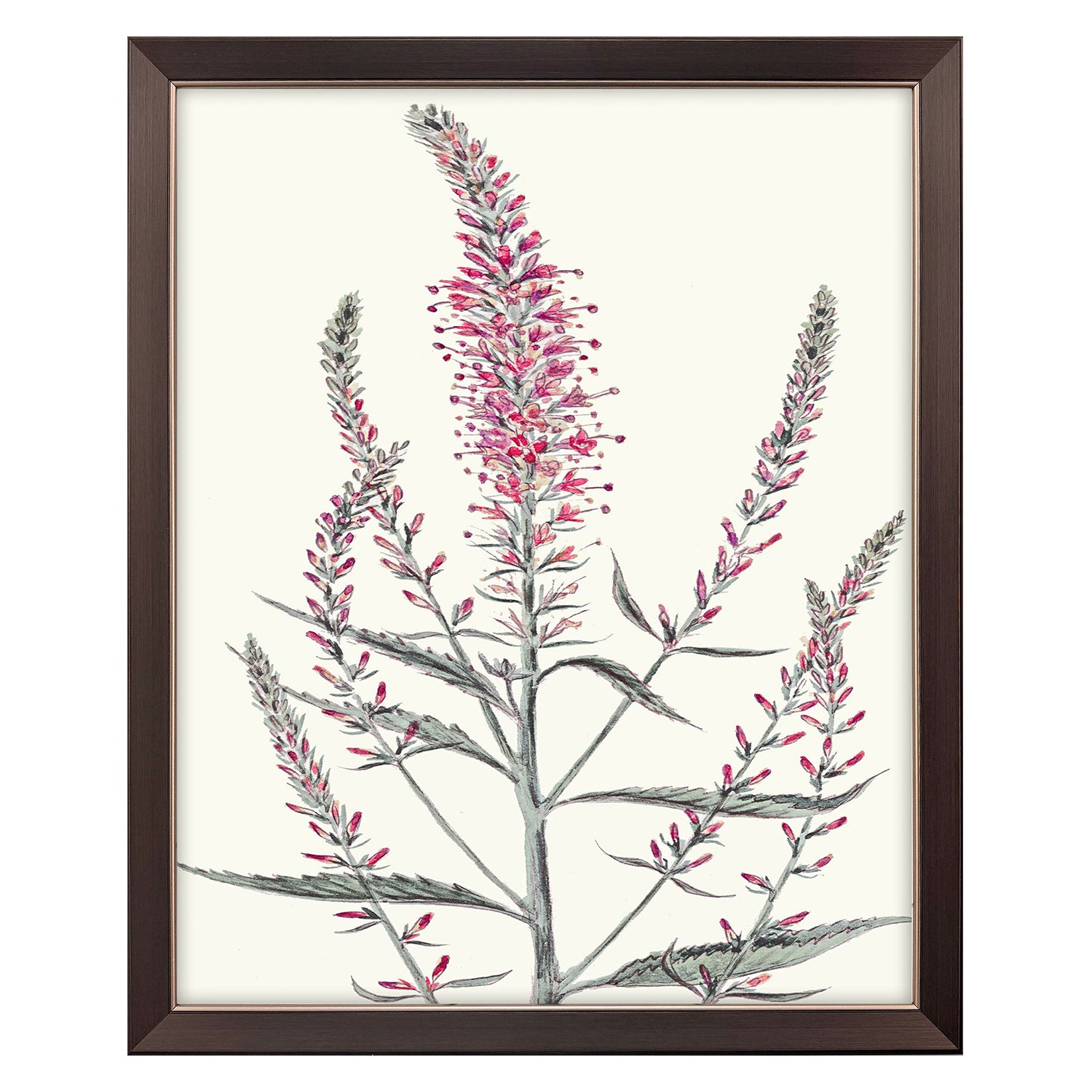 Malanta Knowles Pink Veronique I Framed Art