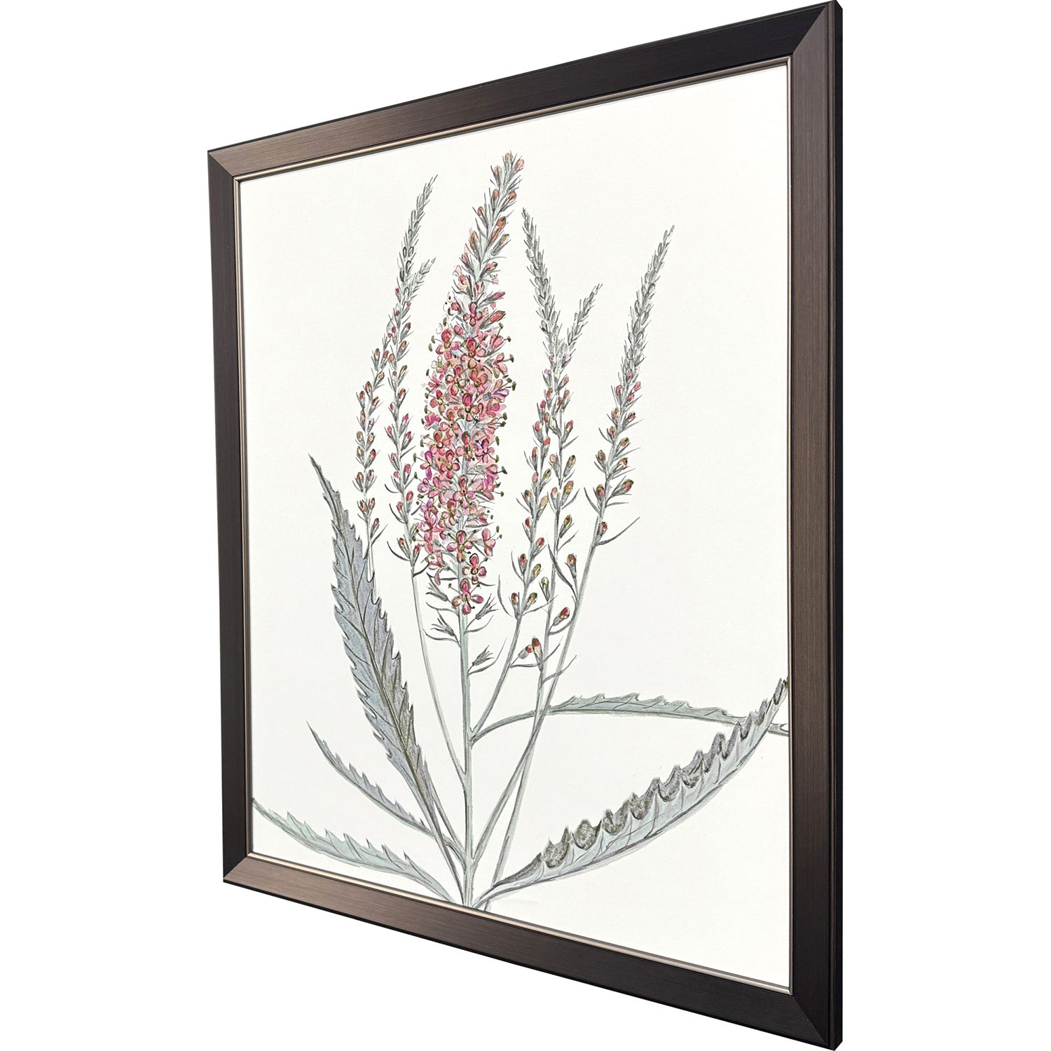 Malanta Knowles Pink Veronique II Framed Art