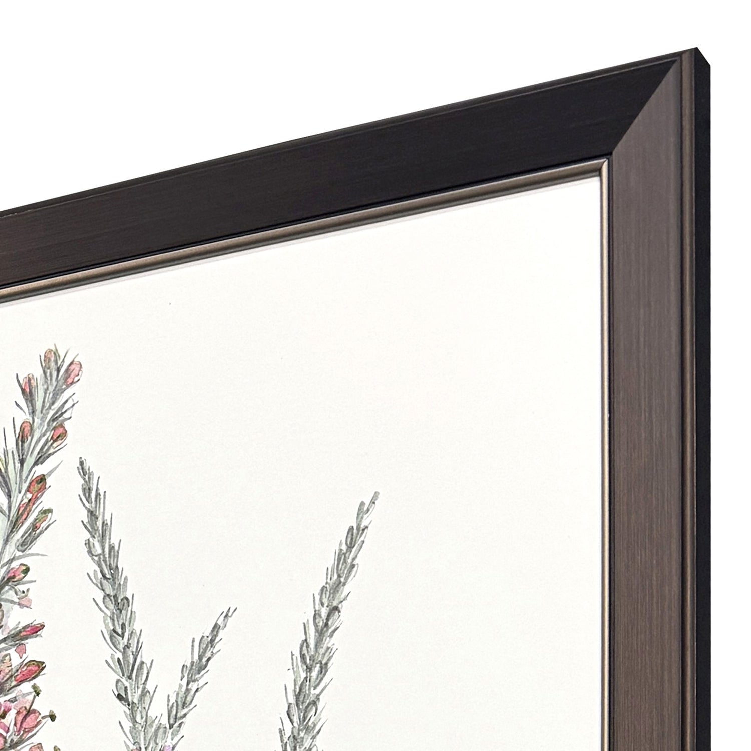 Malanta Knowles Pink Veronique II Framed Art