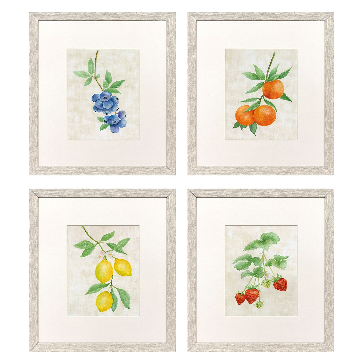 Sarah Lang Fruit in Detail Framed Art Set of 4