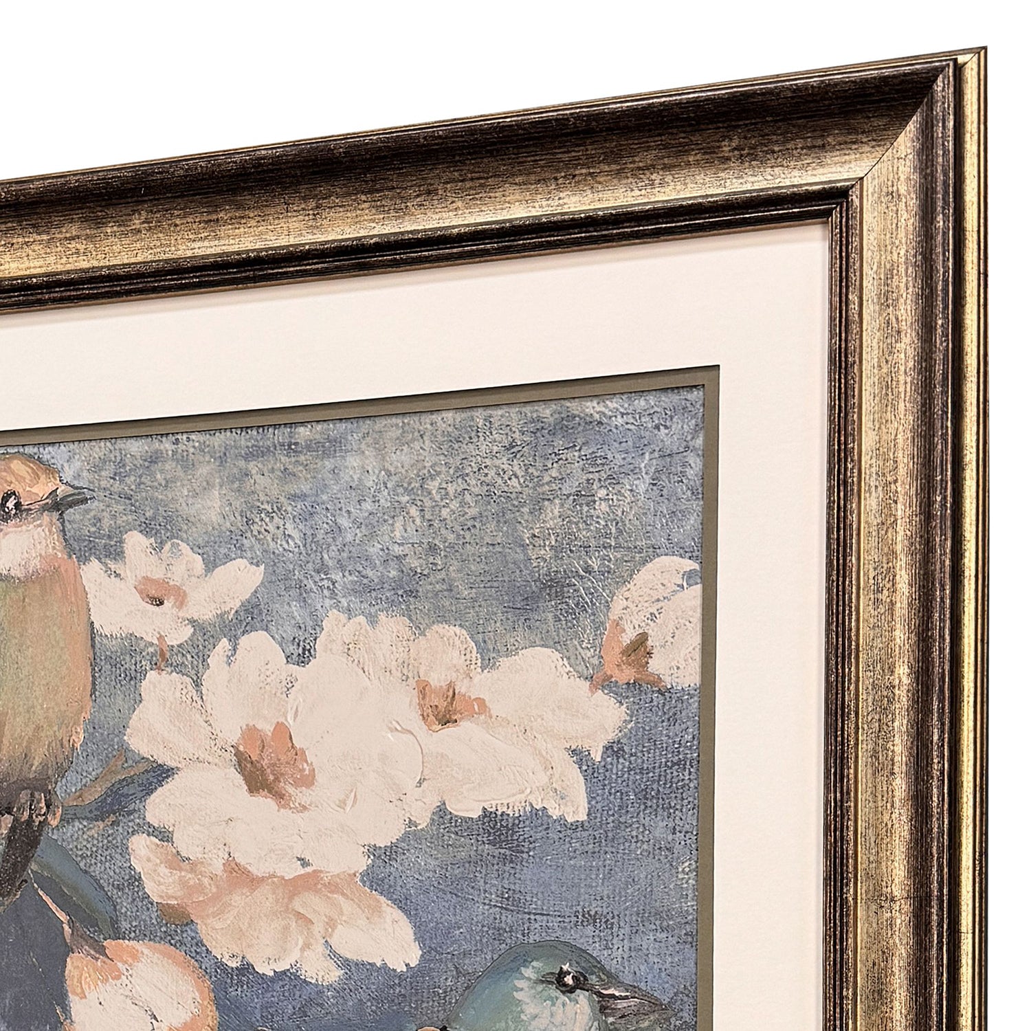 Jordan Glassco-Smith Garden Birds I Framed Art
