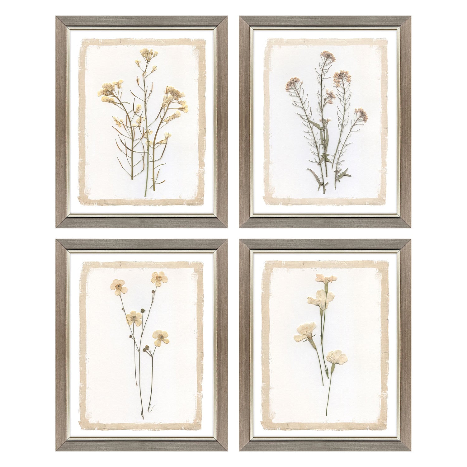 Malanta Knowles Brown Petals Framed Art Set of 4