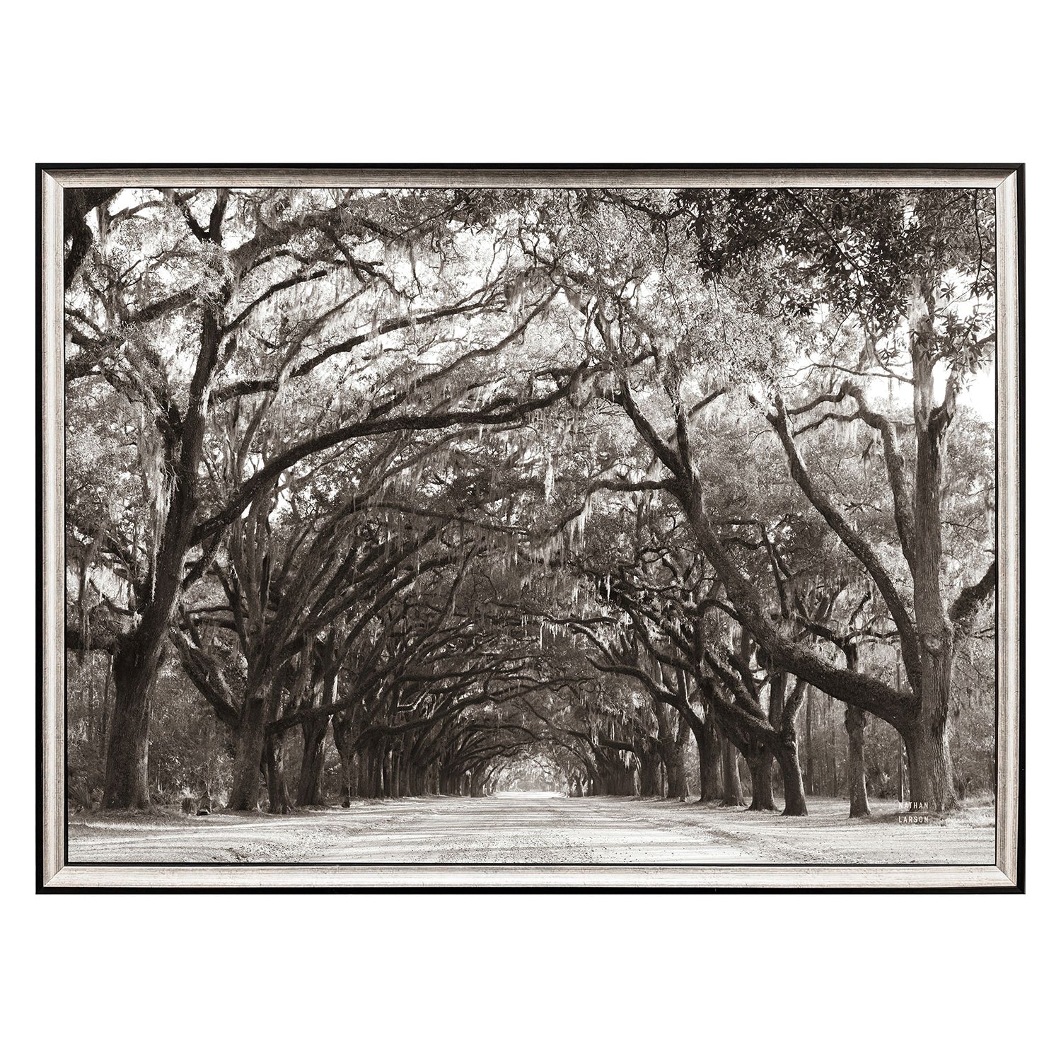 Leeanne Vaughn Georgia Stroll Framed Art