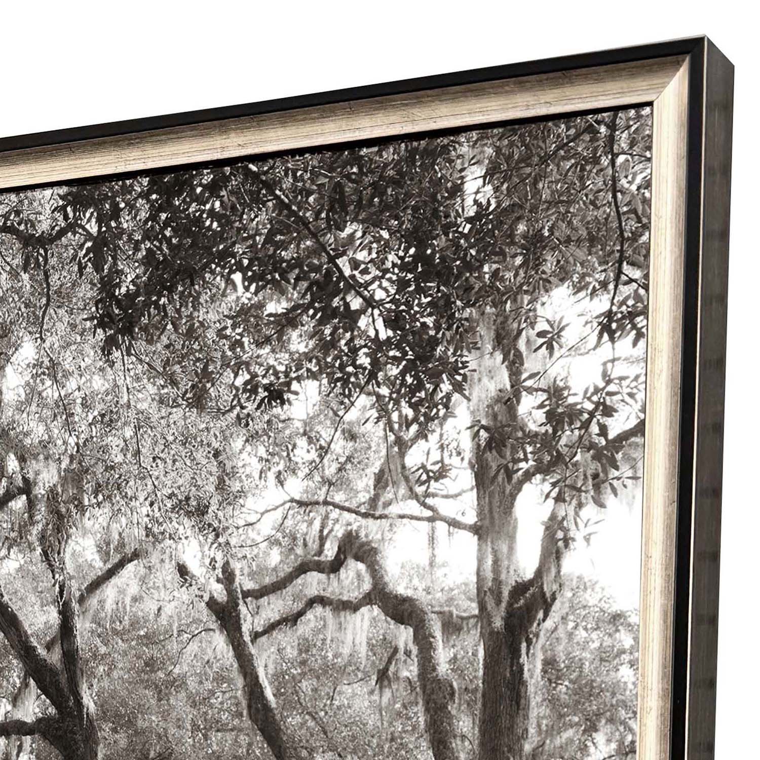 Leeanne Vaughn Georgia Stroll Framed Art