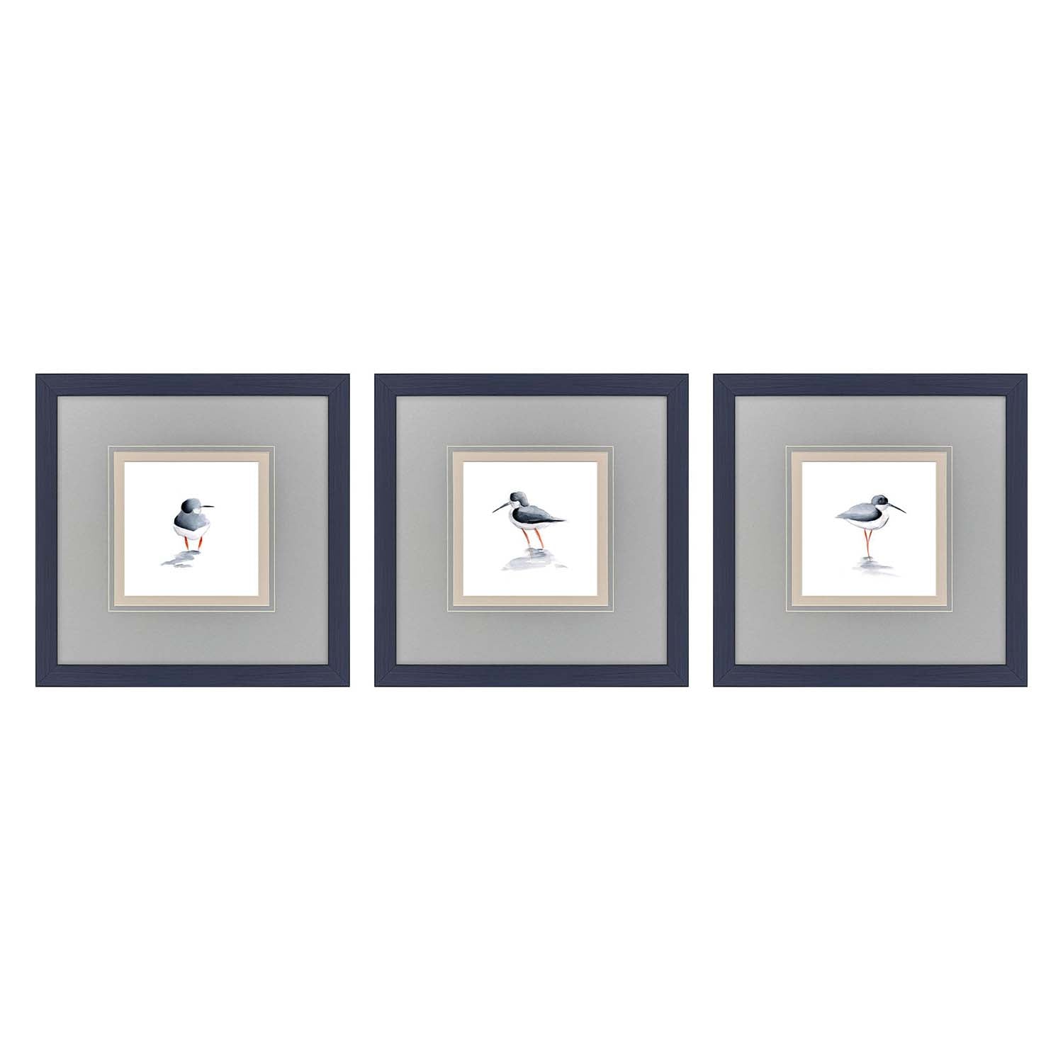 Sarah Lang Shorebird Song I Framed Art Set of 3