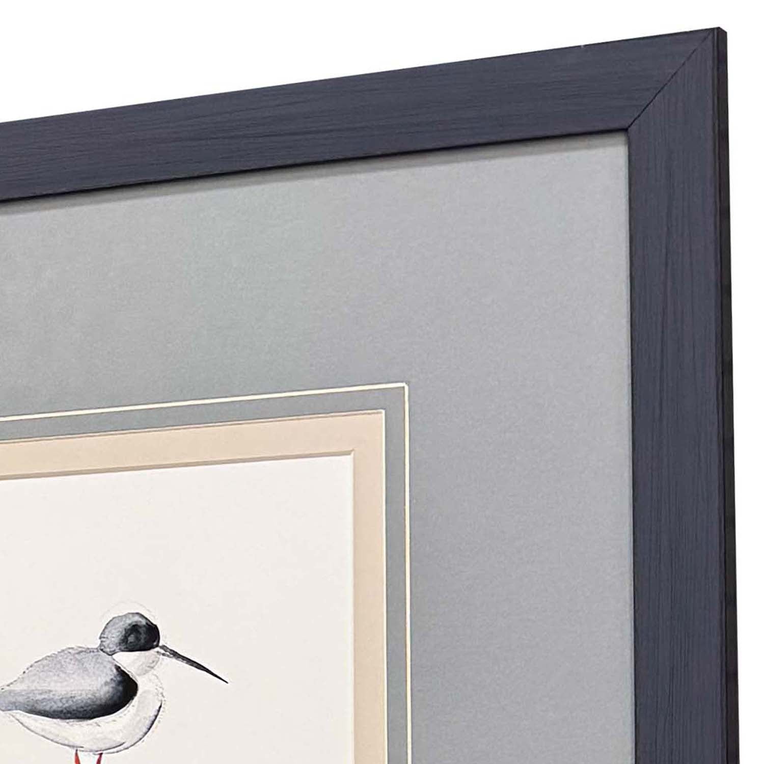 Sarah Lang Shorebird Song I Framed Art Set of 3