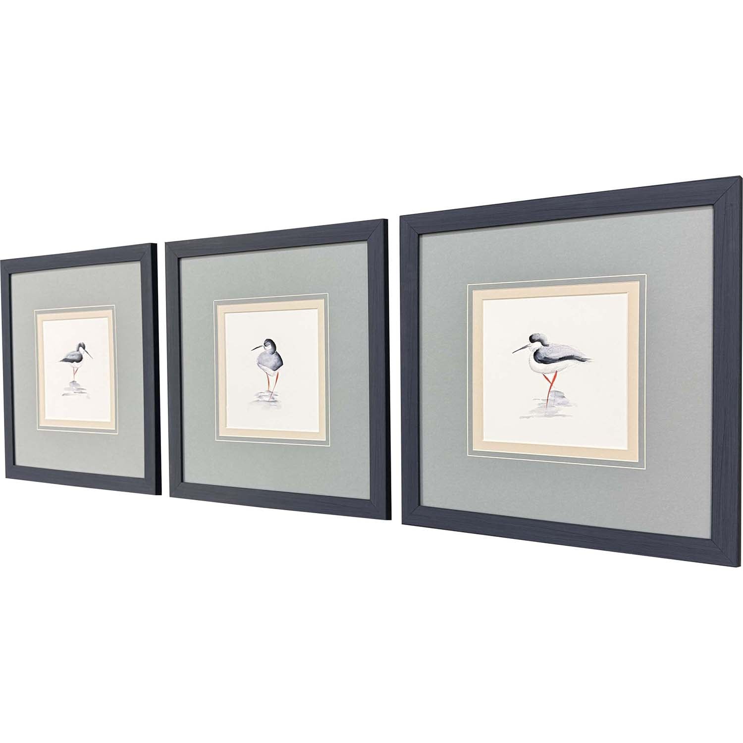 Sarah Lang Shorebird Song II Framed Art Set of 3
