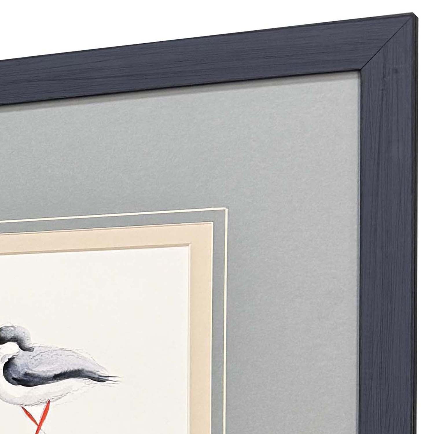 Sarah Lang Shorebird Song II Framed Art Set of 3