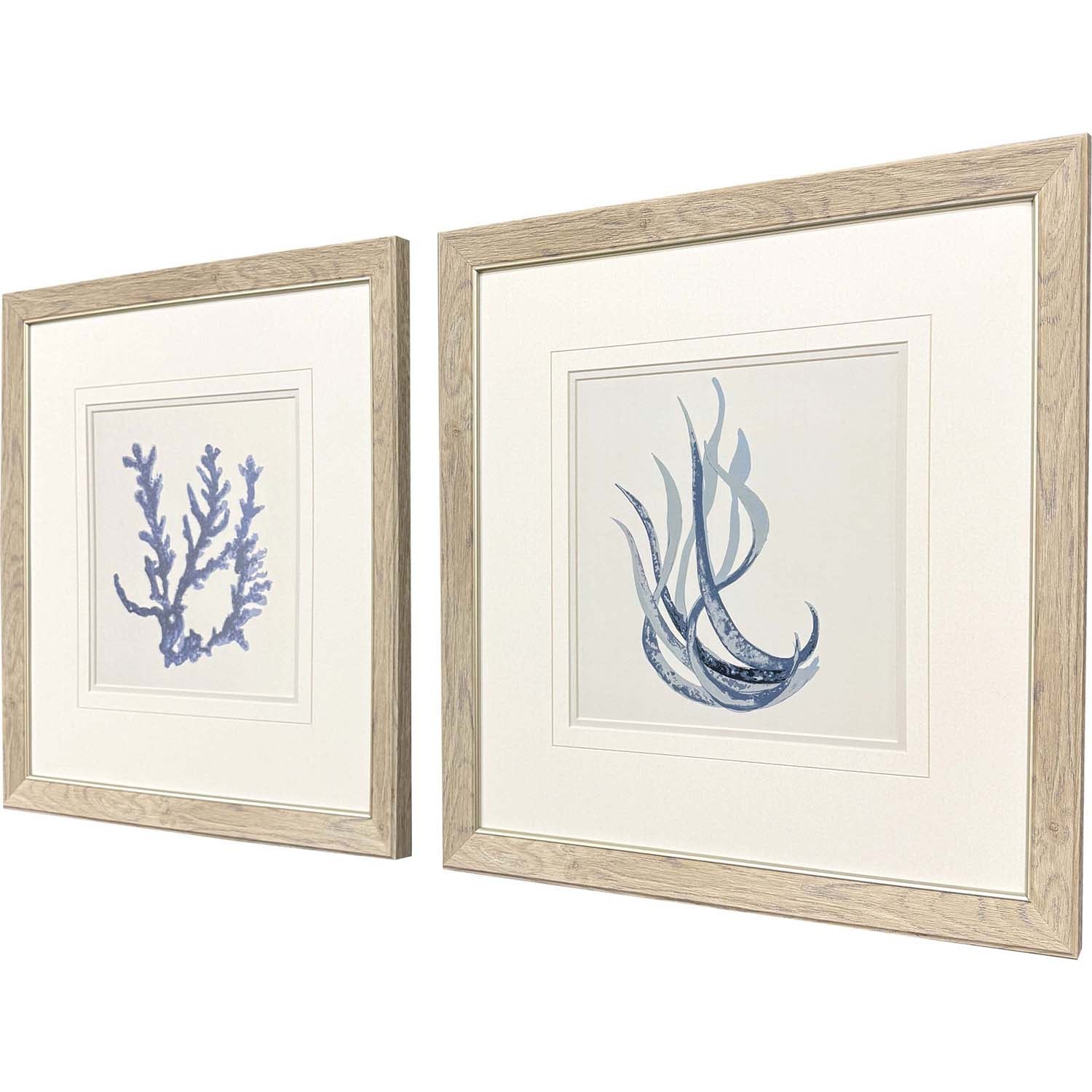 Sarah Lang Blue Corals I Framed Art Set of 2
