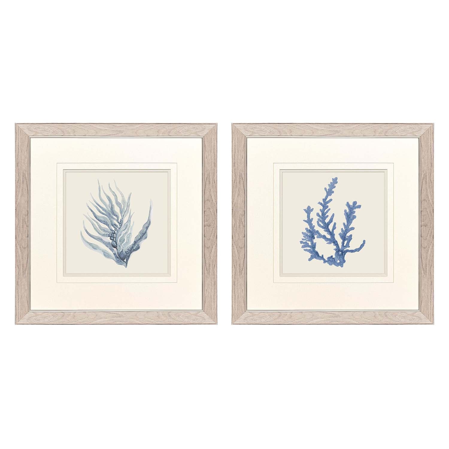 Sarah Lang Blue Corals II Framed Art Set of 2