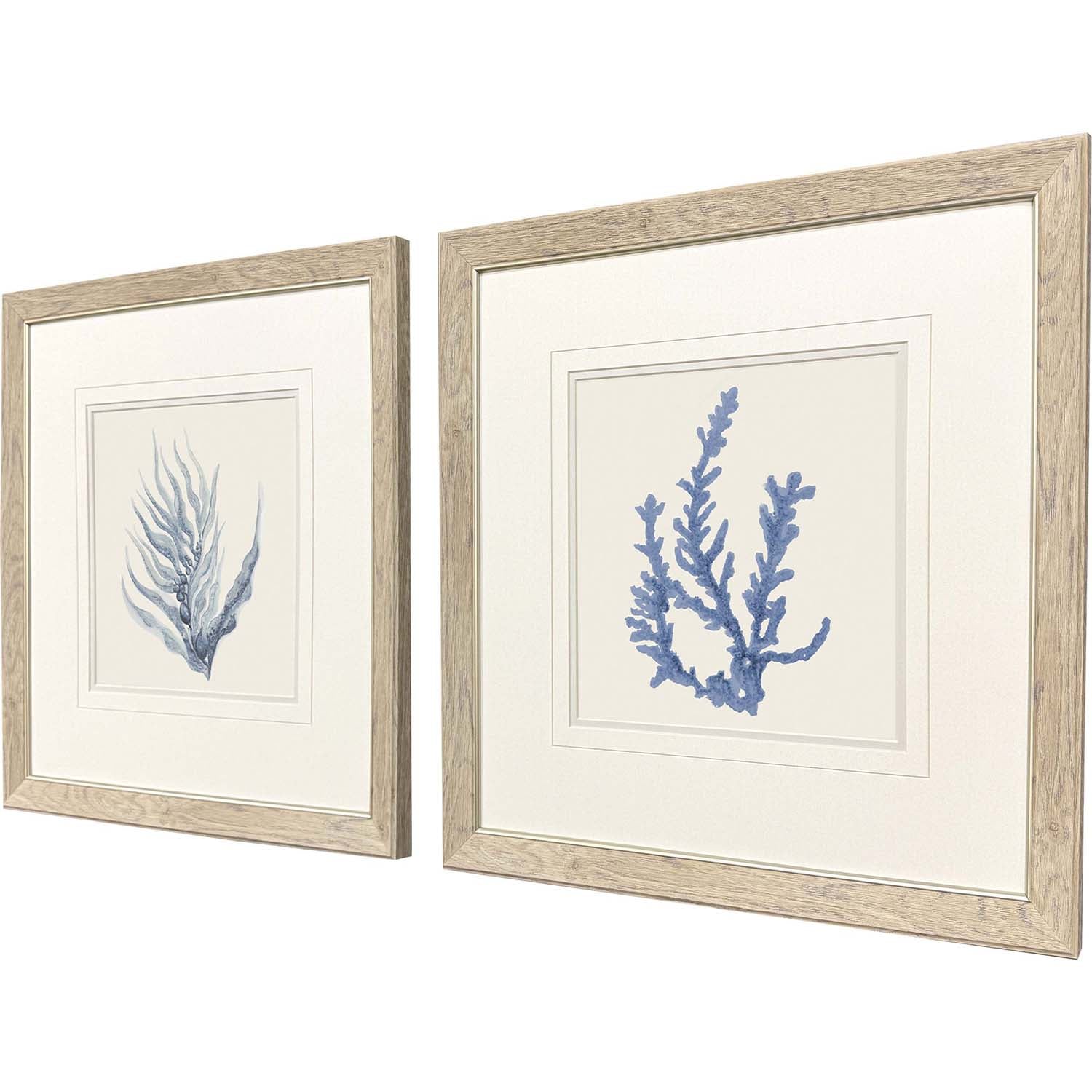 Sarah Lang Blue Corals II Framed Art Set of 2