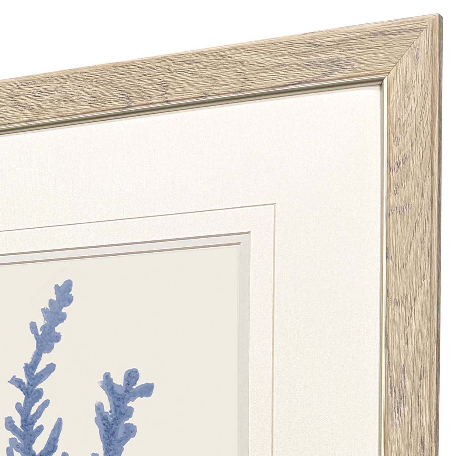 Sarah Lang Blue Corals II Framed Art Set of 2