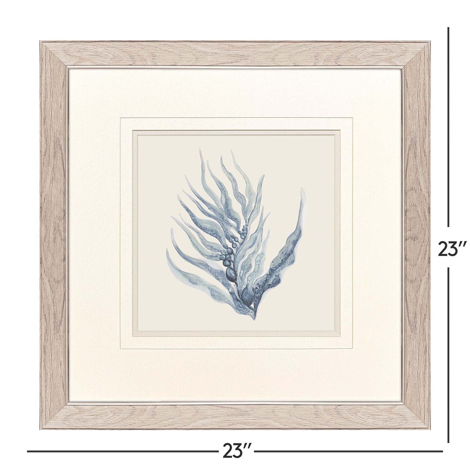 Sarah Lang Blue Corals II Framed Art Set of 2