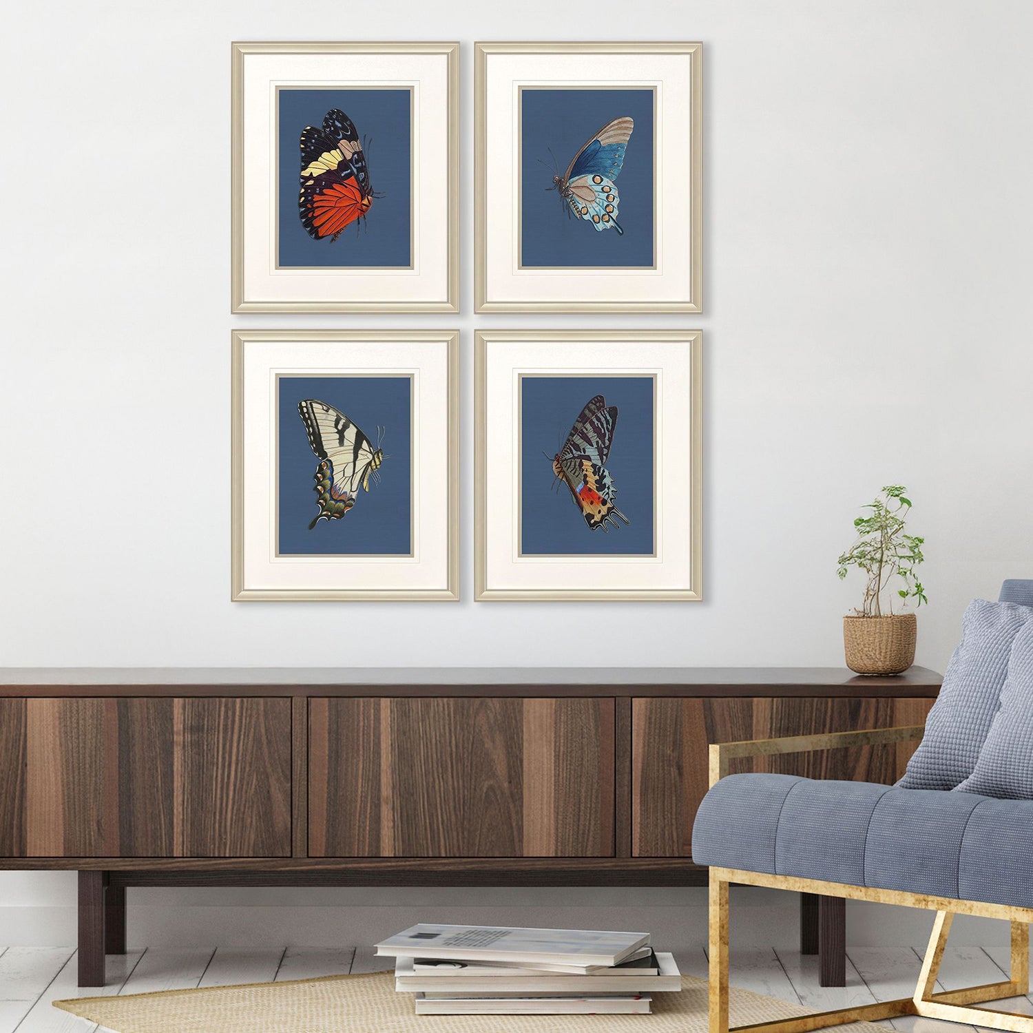 Libby Langdon Color Flutters Framed Art Set of 4