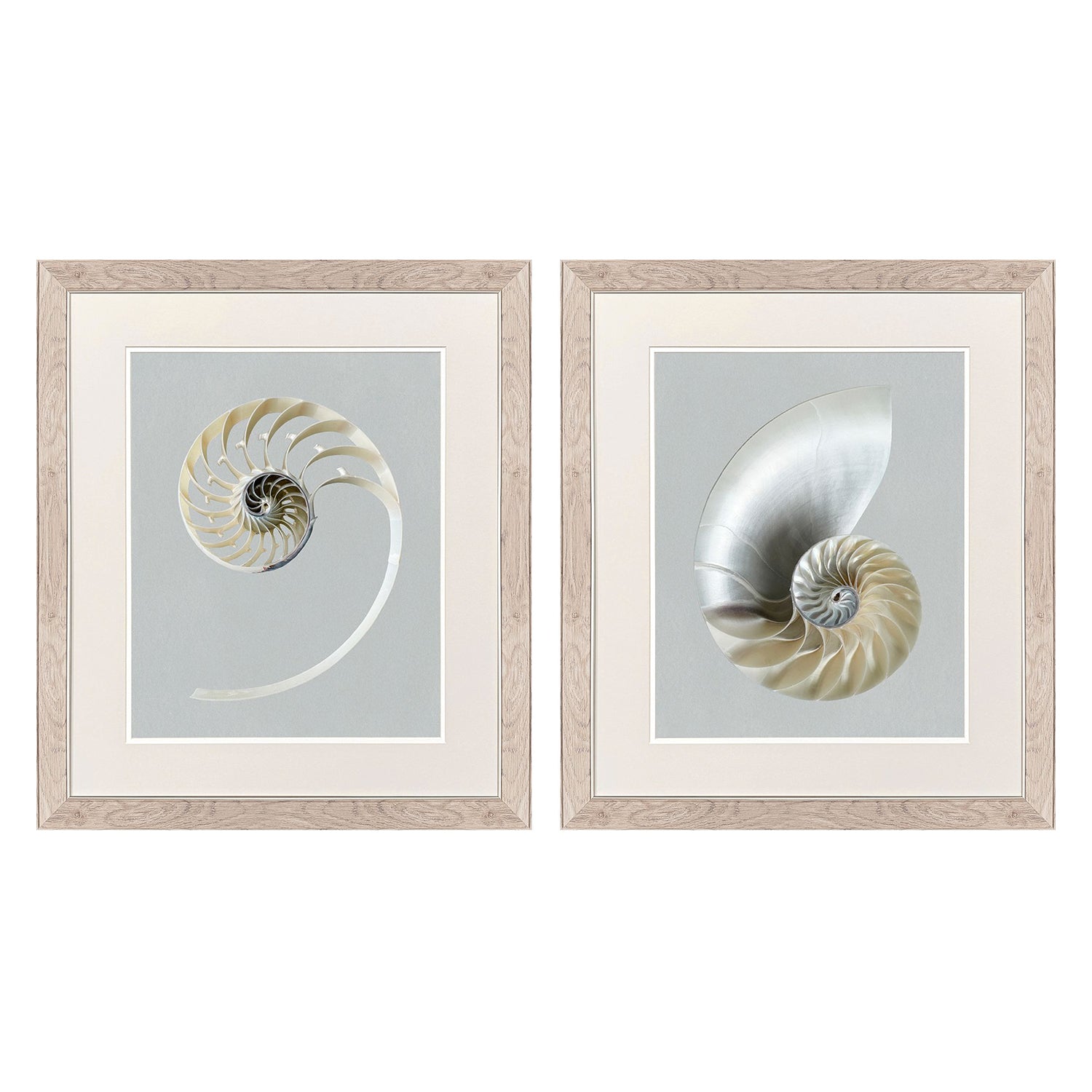 Libby Langdon Neutral Nautilus I Framed Art Set of 2