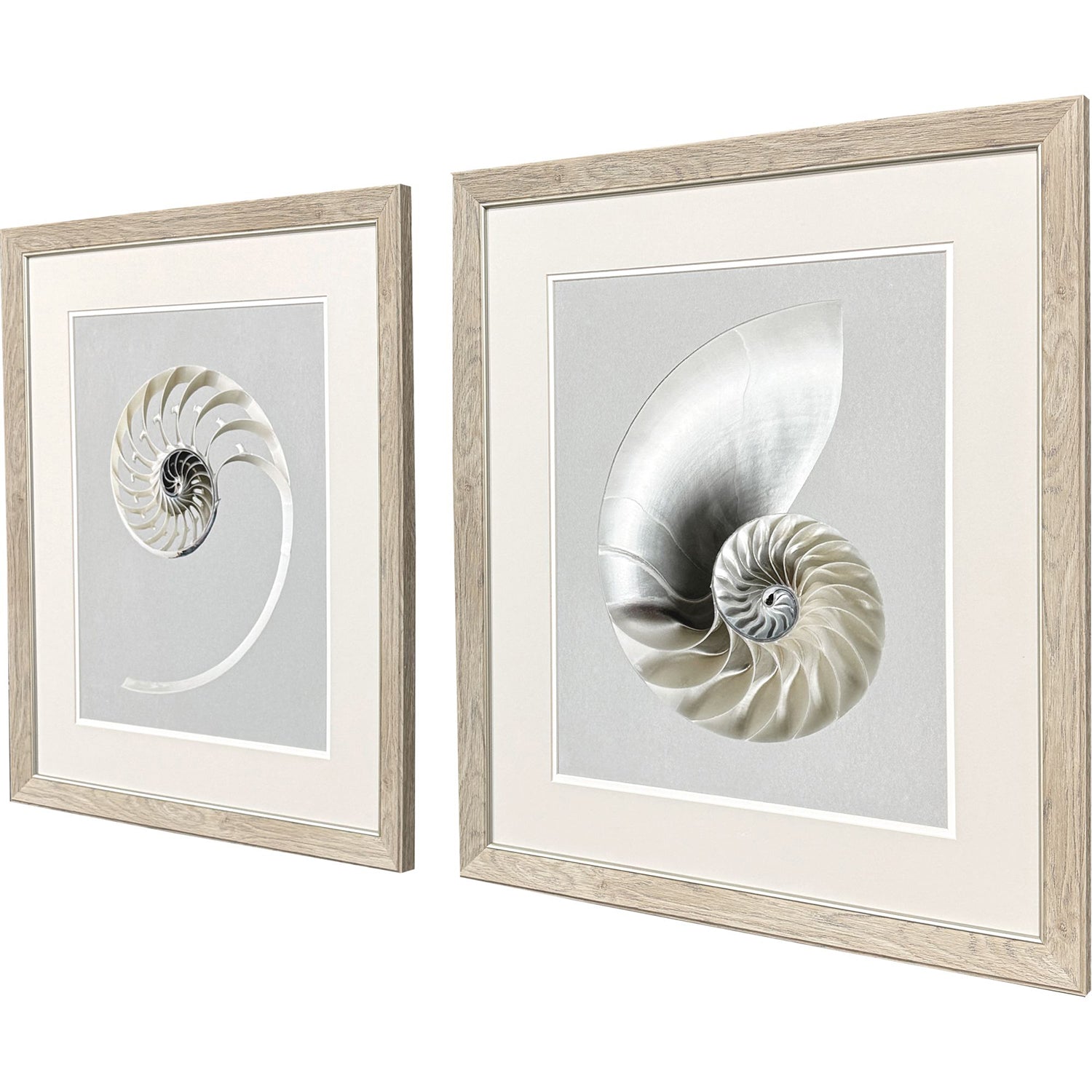 Libby Langdon Neutral Nautilus I Framed Art Set of 2