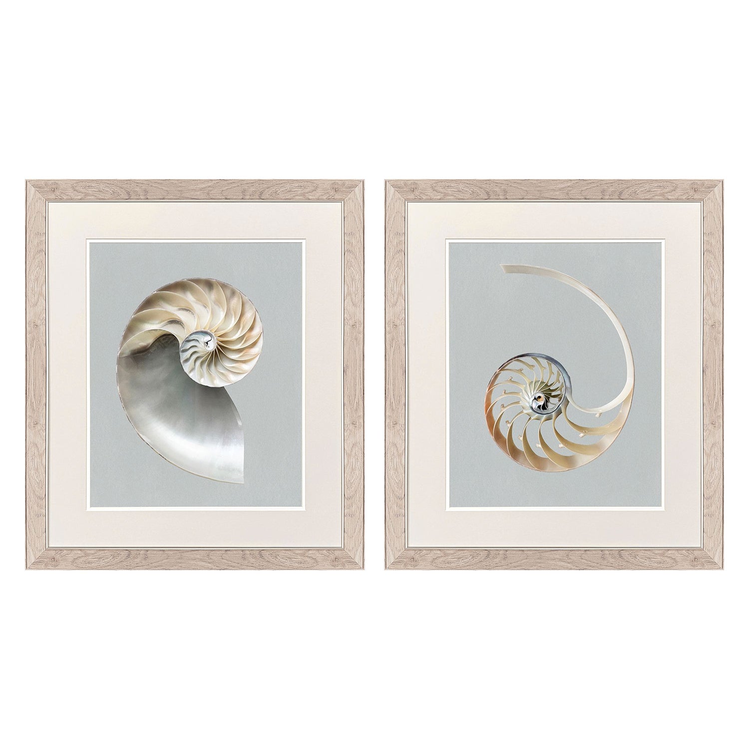 Libby Langdon Neutral Nautilus II Framed Art Set of 2