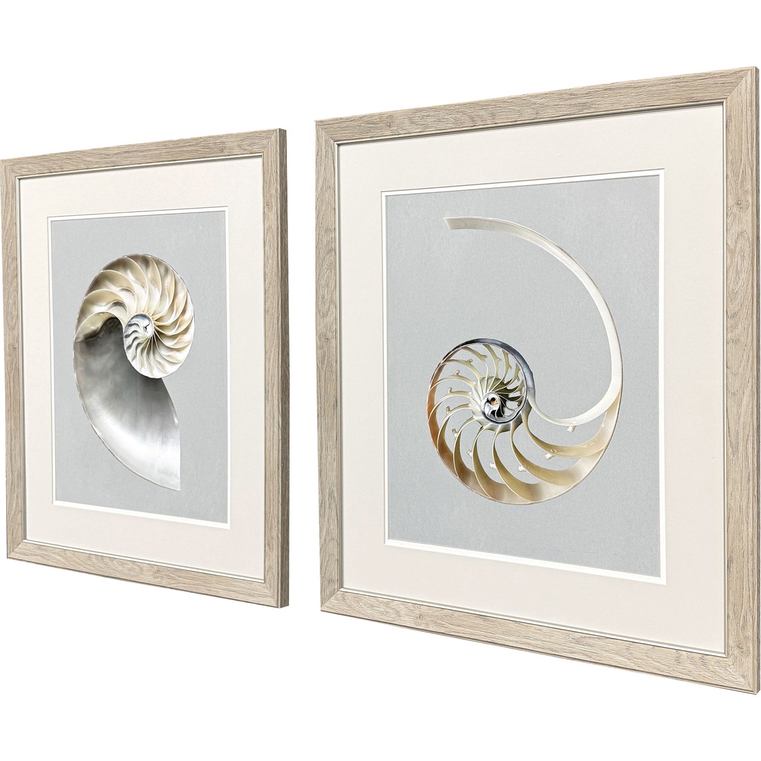 Libby Langdon Neutral Nautilus II Framed Art Set of 2
