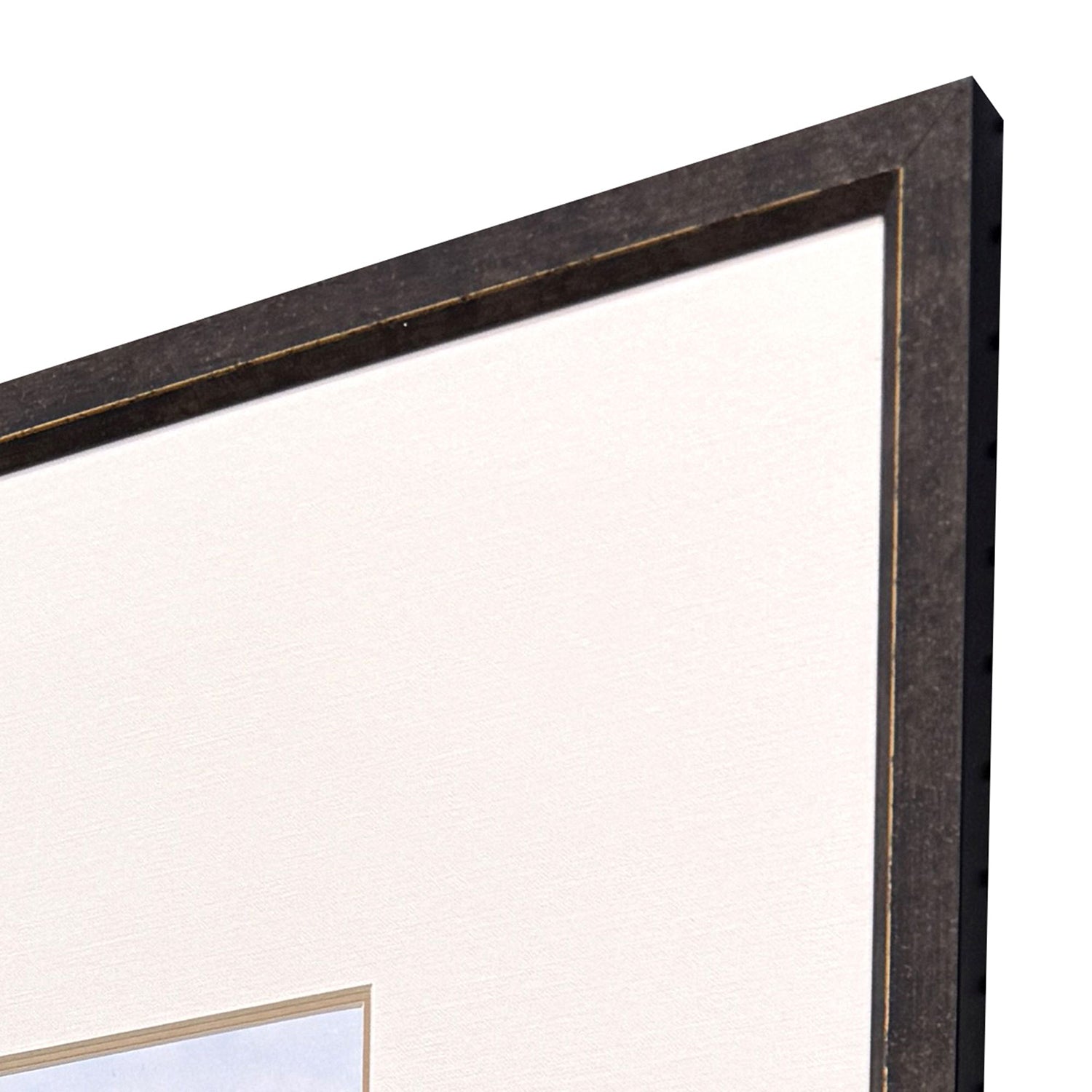 Malanta Knowles Trout Framed Art Set of 4