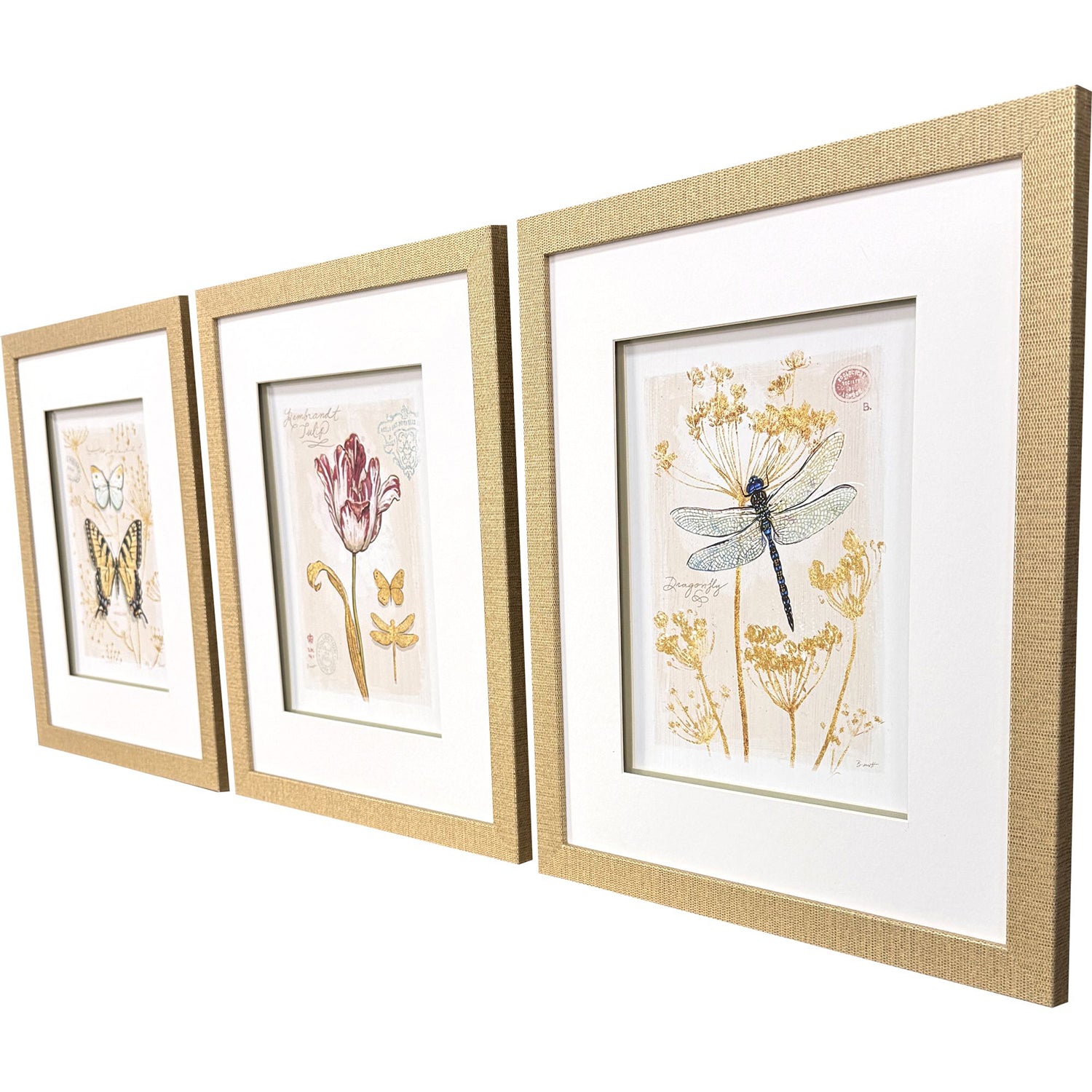 Sarah Lang Nature's Wonder I Framed Art Set of 3
