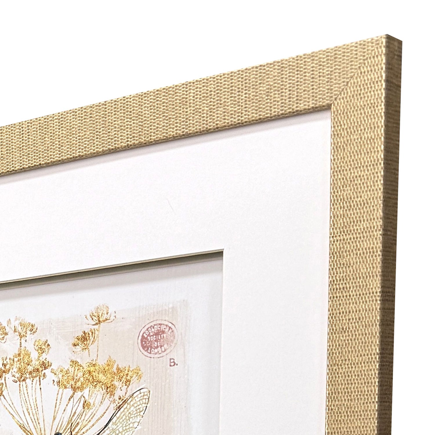 Sarah Lang Nature's Wonder I Framed Art Set of 3