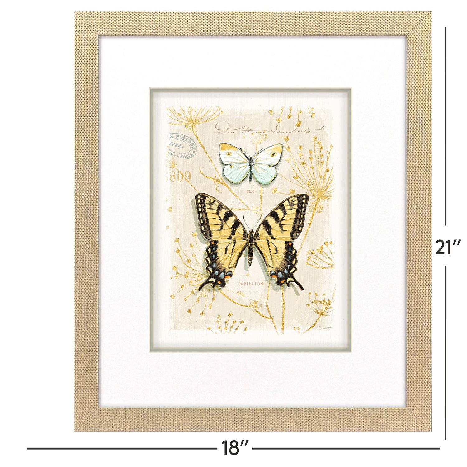 Sarah Lang Nature's Wonder I Framed Art Set of 3