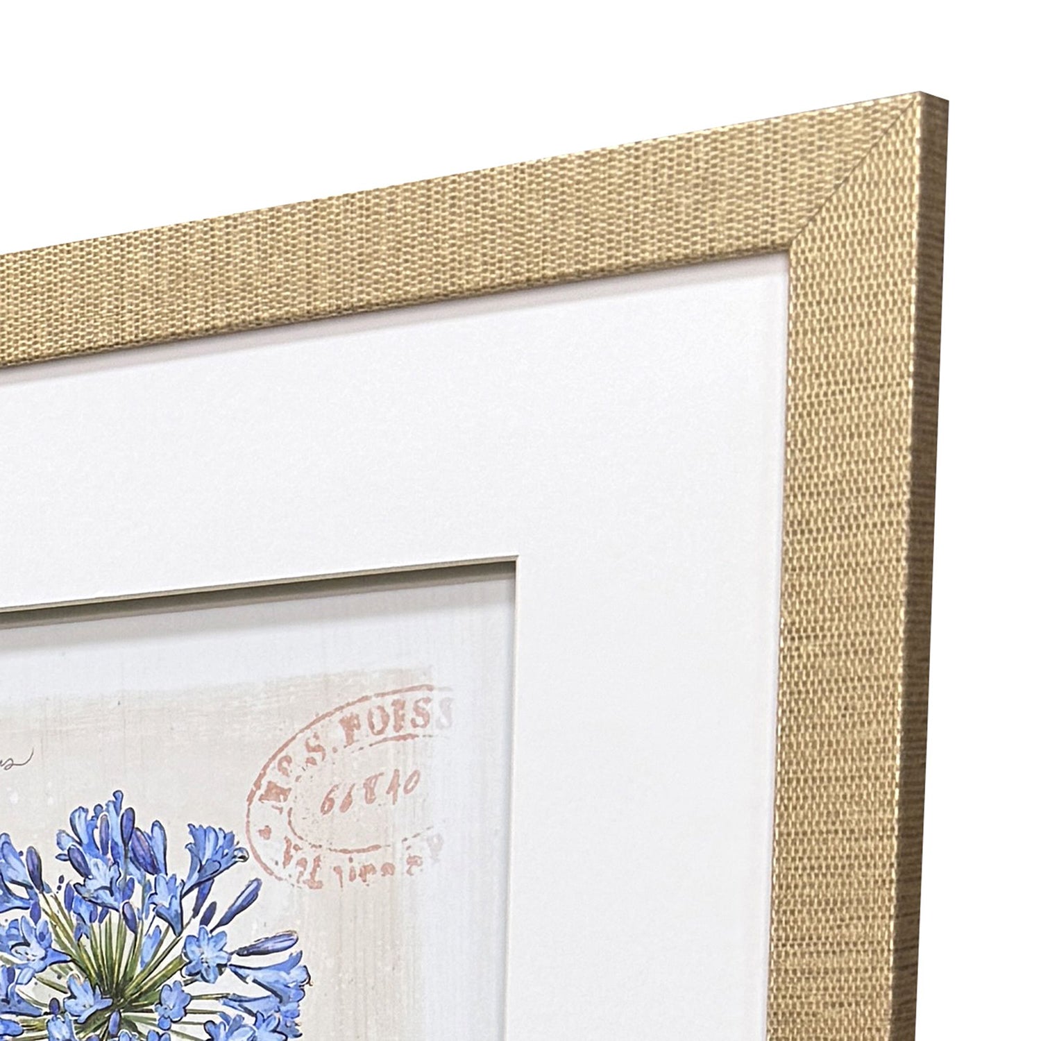 Sarah Lang Nature's Wonder II Framed Art Set of 3
