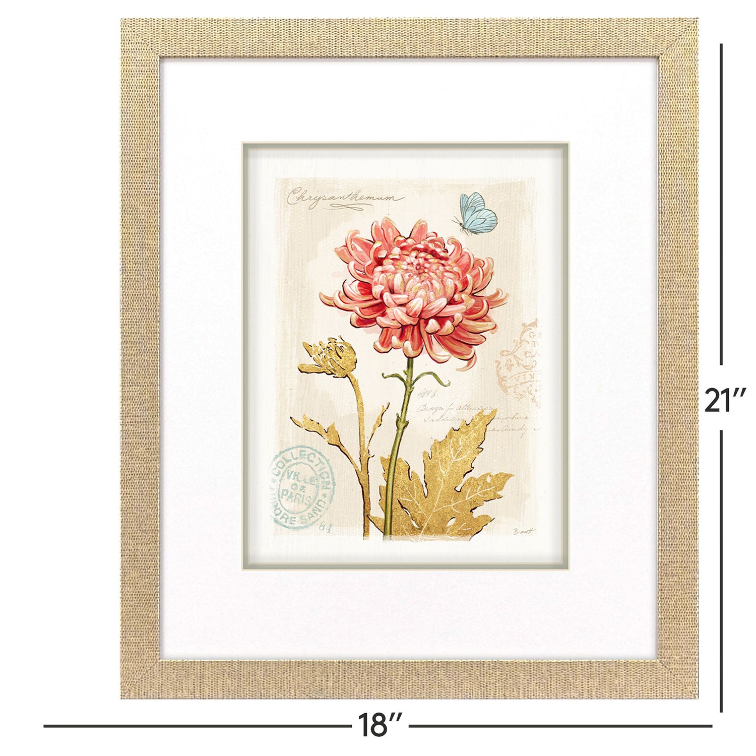Sarah Lang Nature's Wonder II Framed Art Set of 3