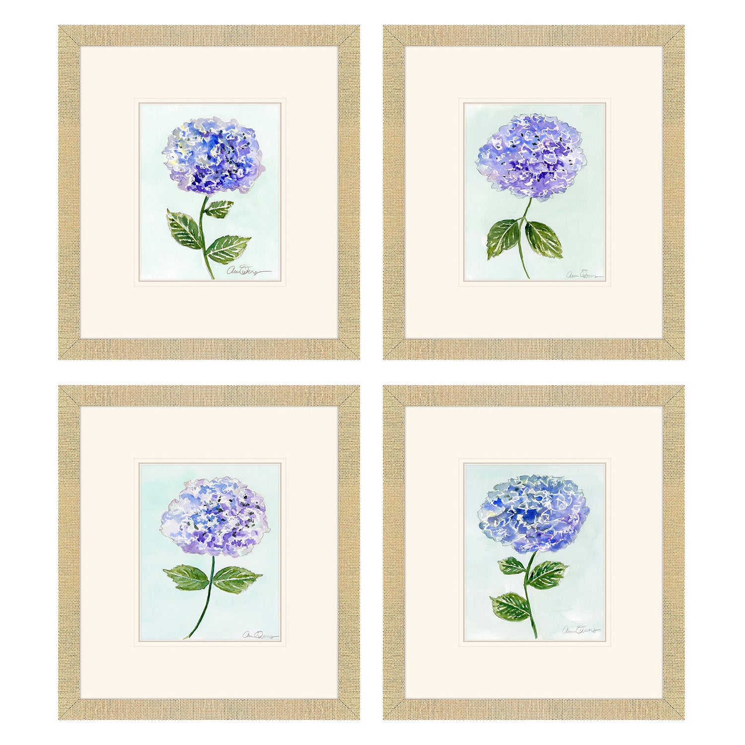 Malanta Knowles Hydrangea Stems Framed Art Set of 4