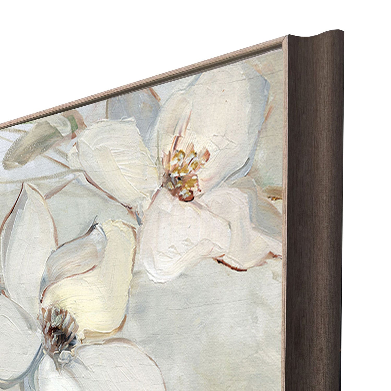 Sarah Lang Magnolias Framed Art
